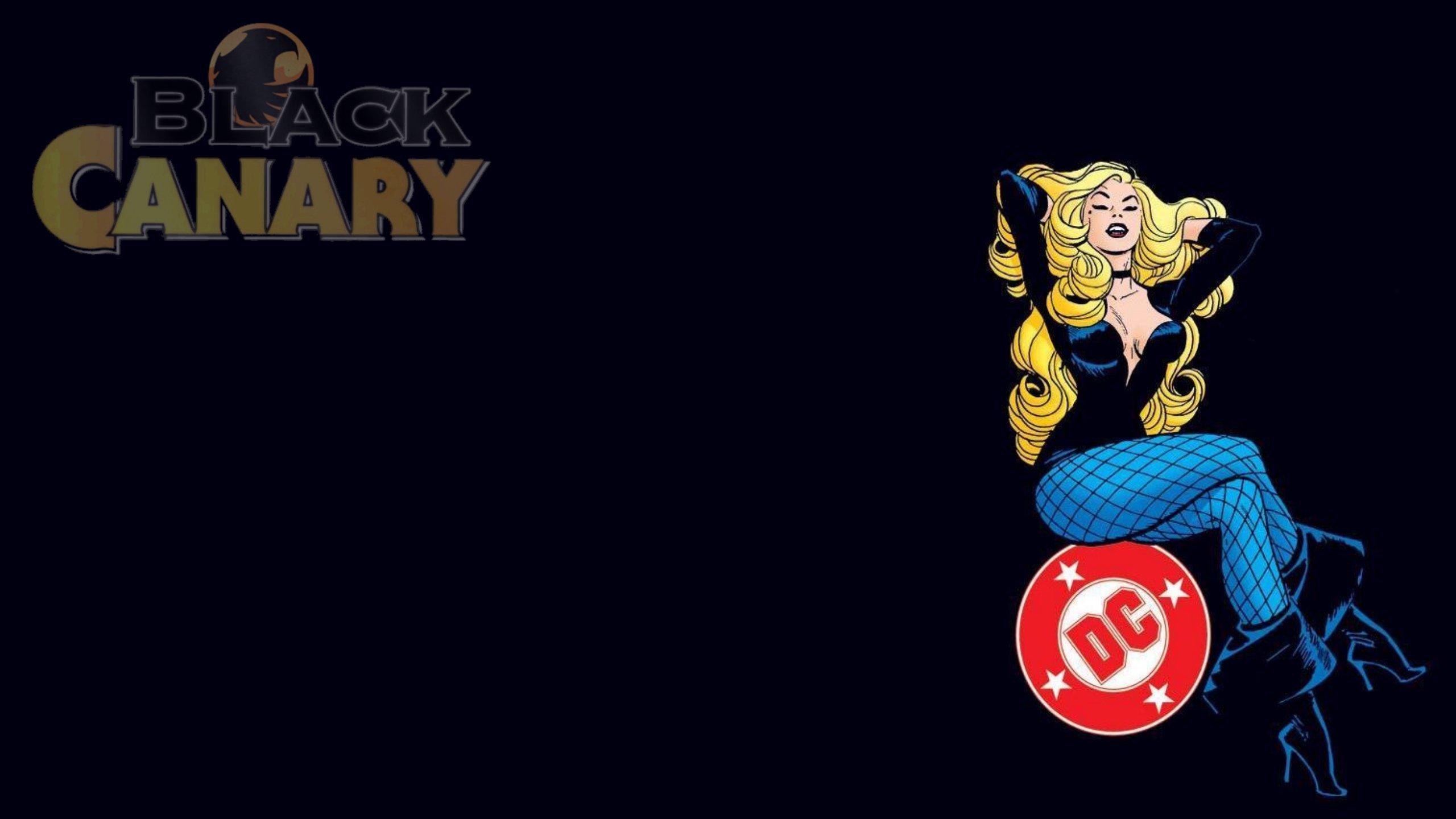 2560x1440 Awesome Black Canary free wallpaper for HD 2560x1440 desktop