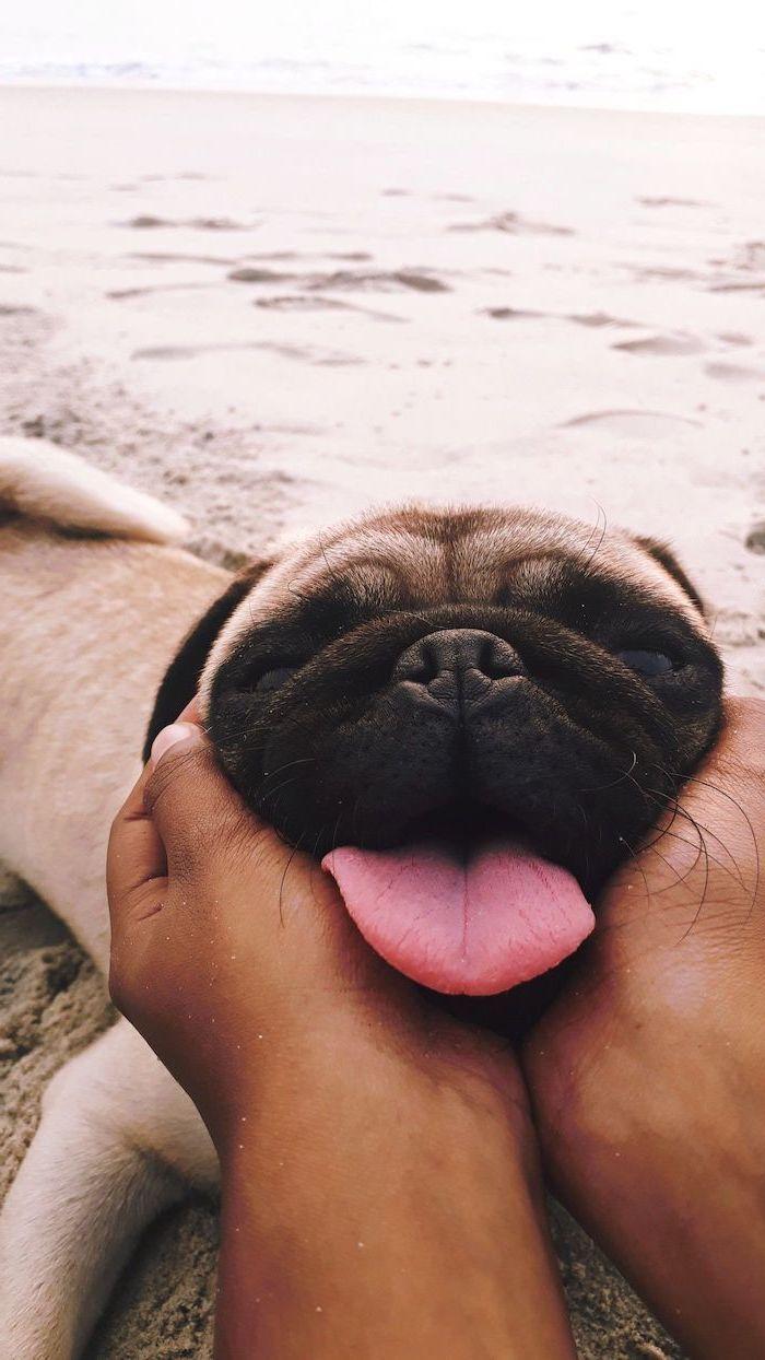 700x1244 for Funny Wallpaper To Get You In a Good Mood