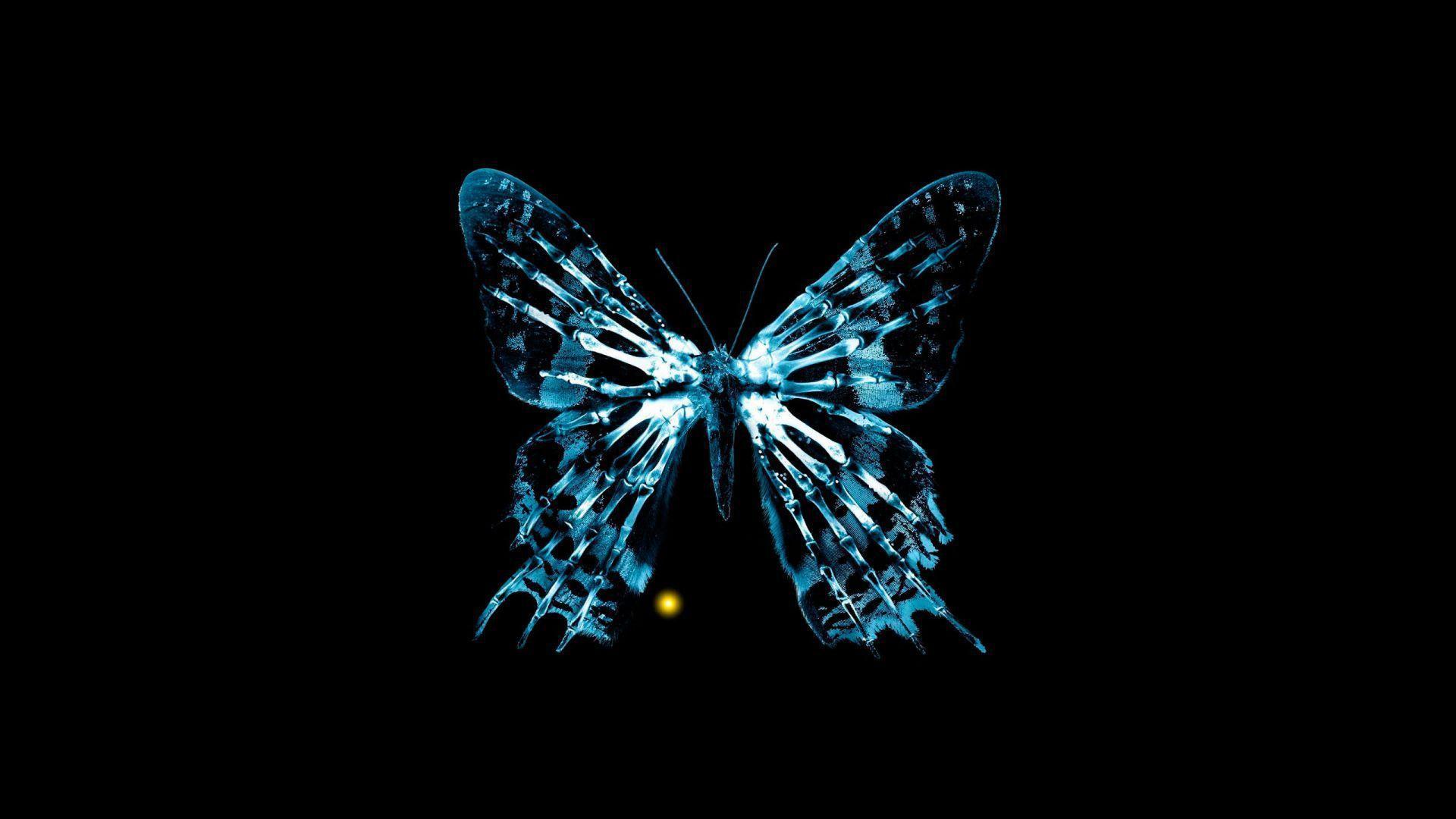 1920x1080 Radiology Wallpaper