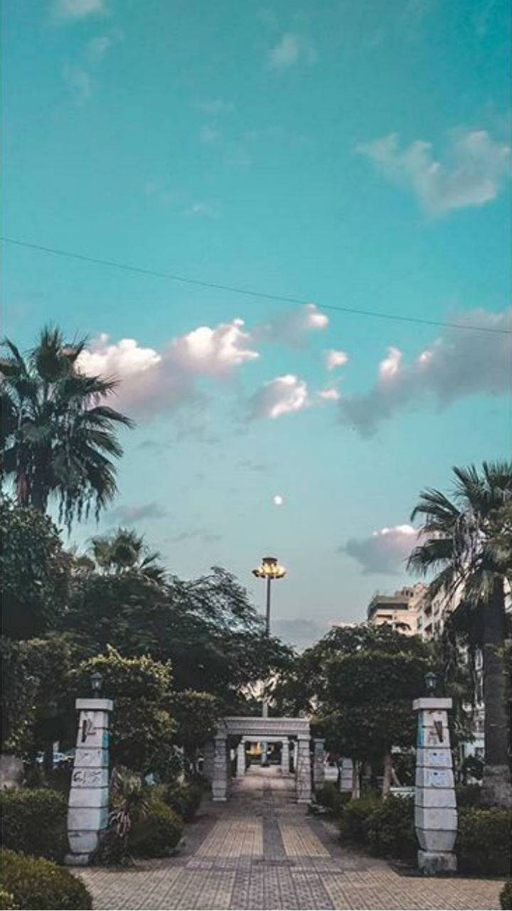 720x1280 ALEXANDRIA wallpaper