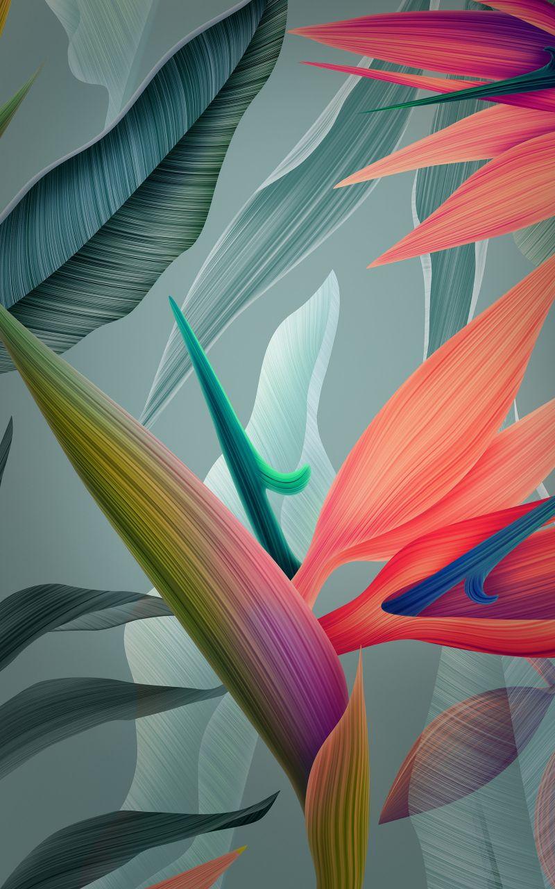 800x1280 Download 800x1280 Wallpaper Leaves, Abstract, Huawei Mate Stock, Samsung Galaxy Note Gt N Meizu Mx 800x1280 HD Image Background