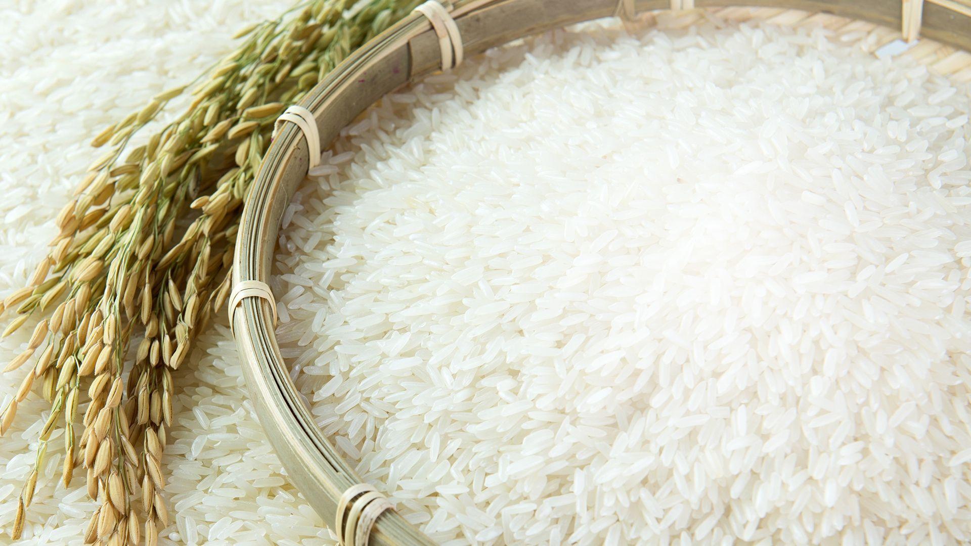 1920x1080 Rice Image HD .