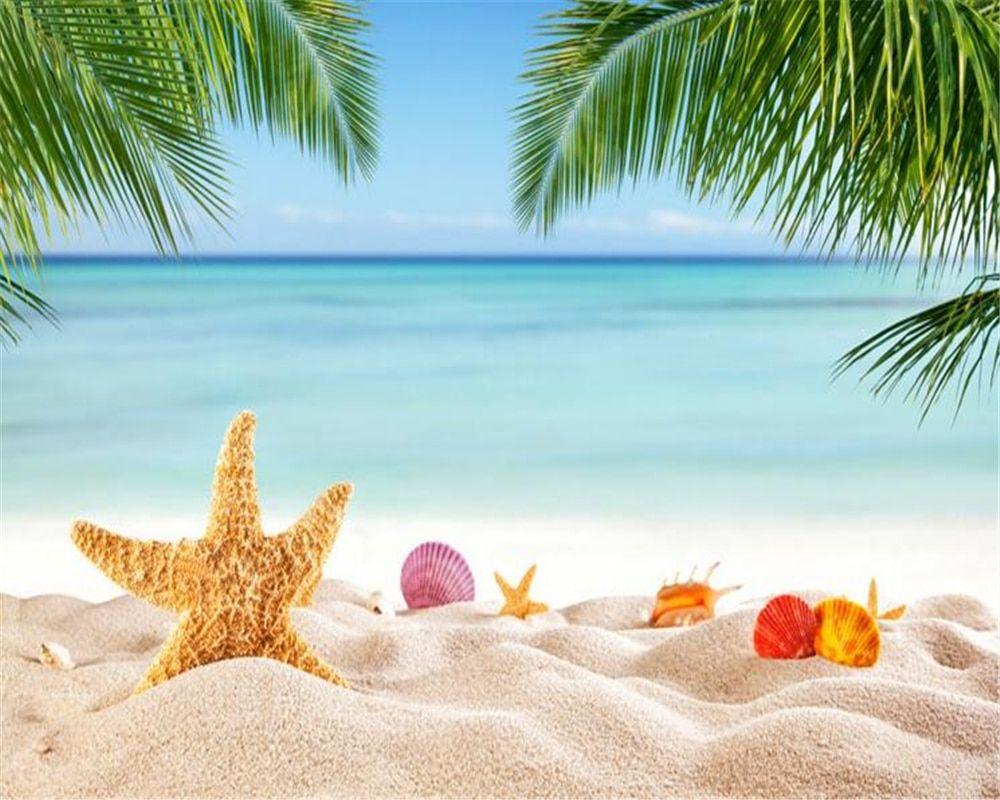 Coconut Beach Wallpapers Top Free Coconut Beach Backgrounds WallpaperAccess