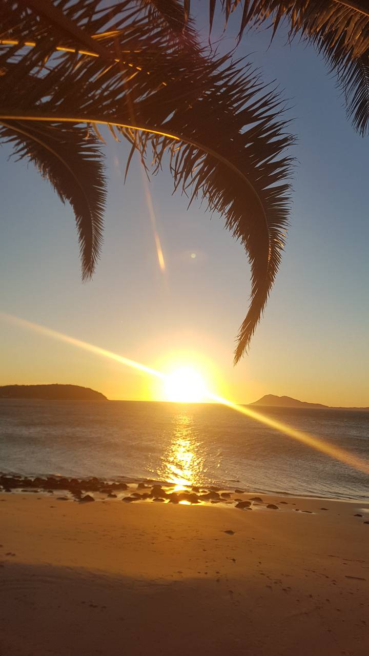 720x1280 Coconut beach wallpaper