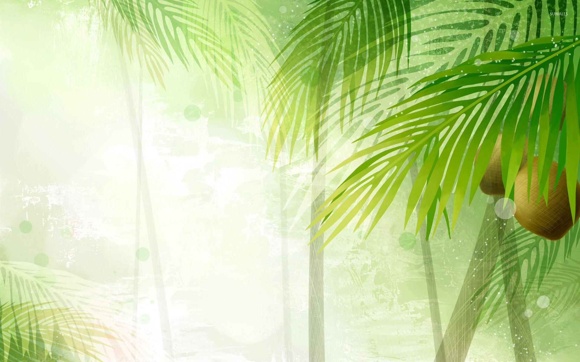 1920x1200 Coconut trees wallpaper wallpaper