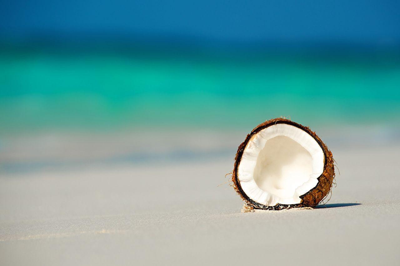 1280x853 Picture beaches Coconuts Food