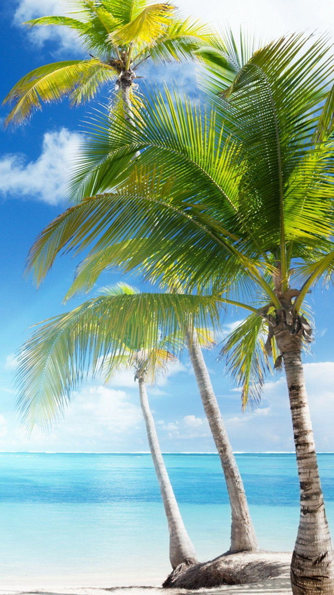 1080x1920 Background Beach Coconut .