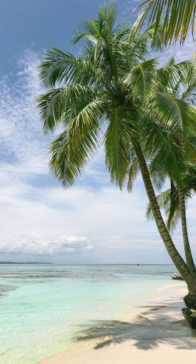 657x1215 Coconut tree on the beach iphone wallpaper, beach iphone wallpaper