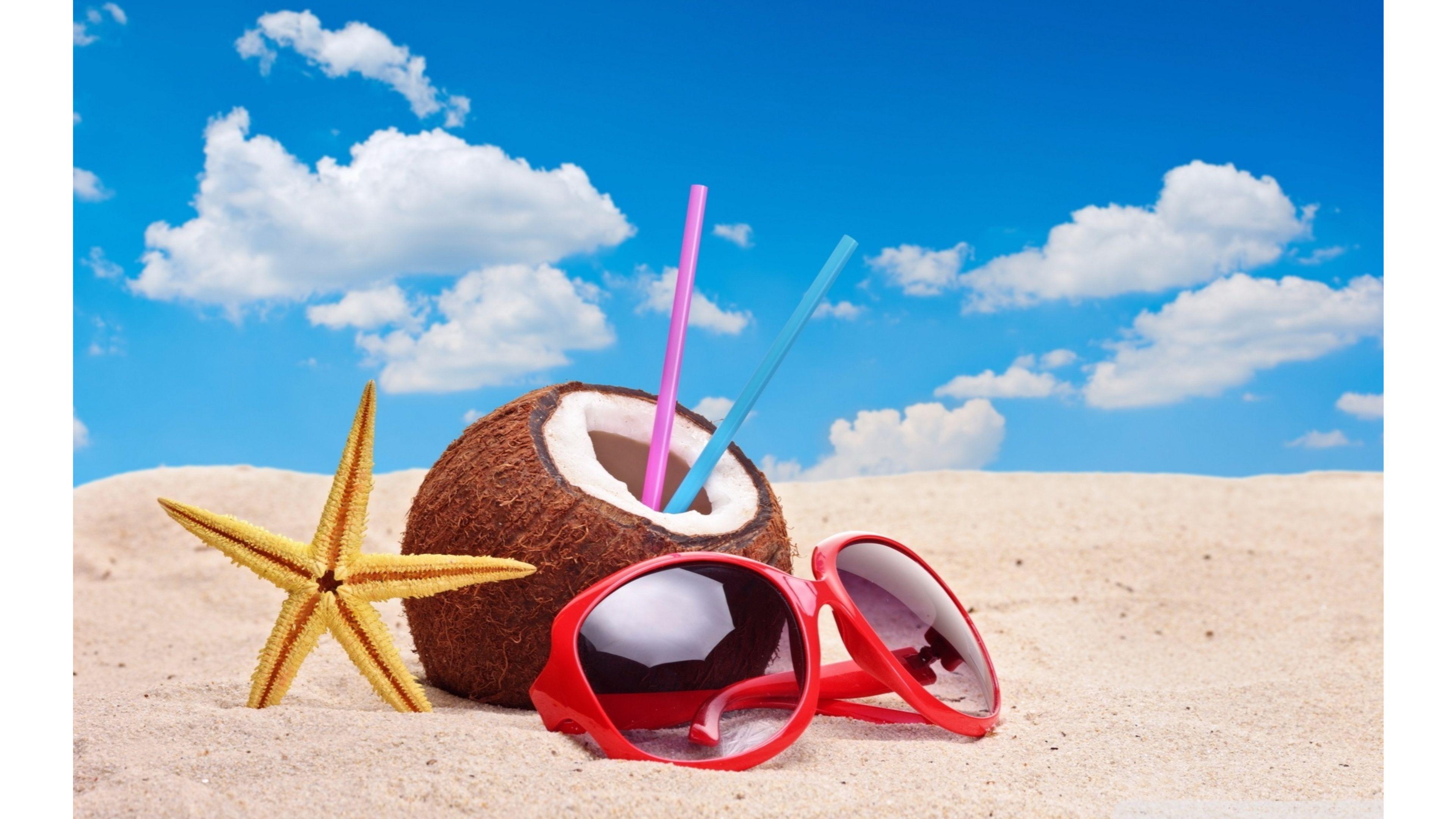 3840x2160 Coconut 4K wallpaper for your desktop or mobile screen free and easy to download