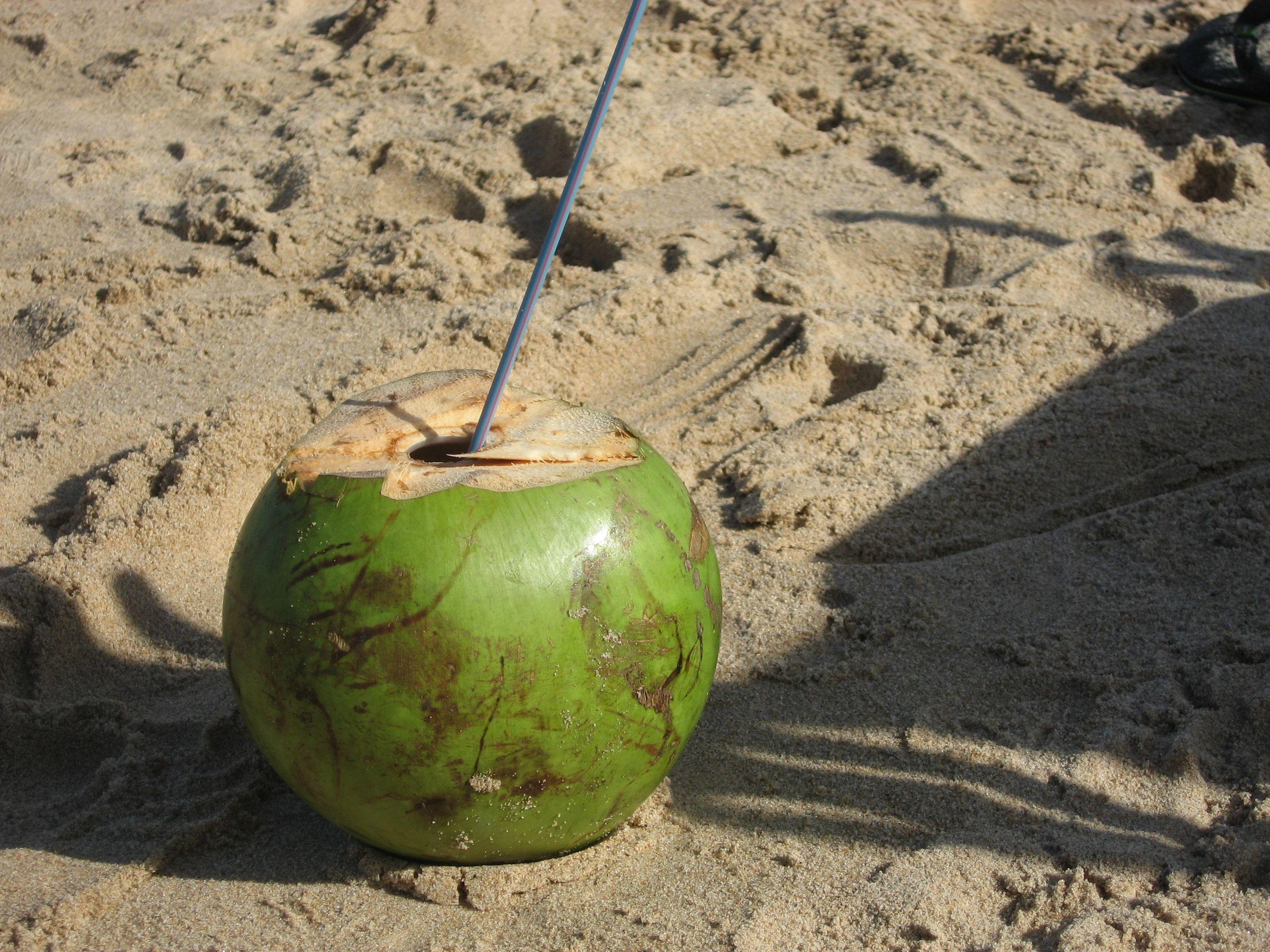 2816x2112 royalty free coconut image