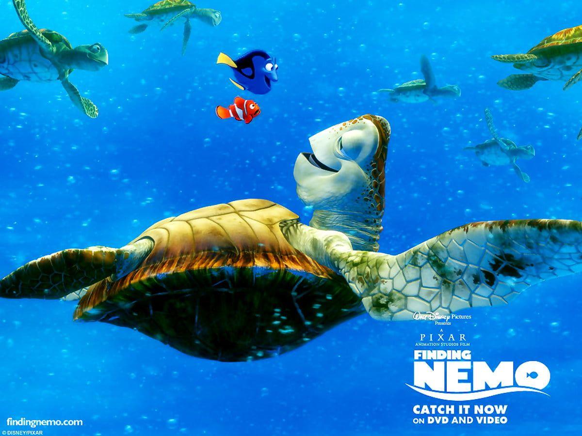 1200x900 Finding Nemo, Sea Turtle, Green Sea Turtle background. Best Free photo
