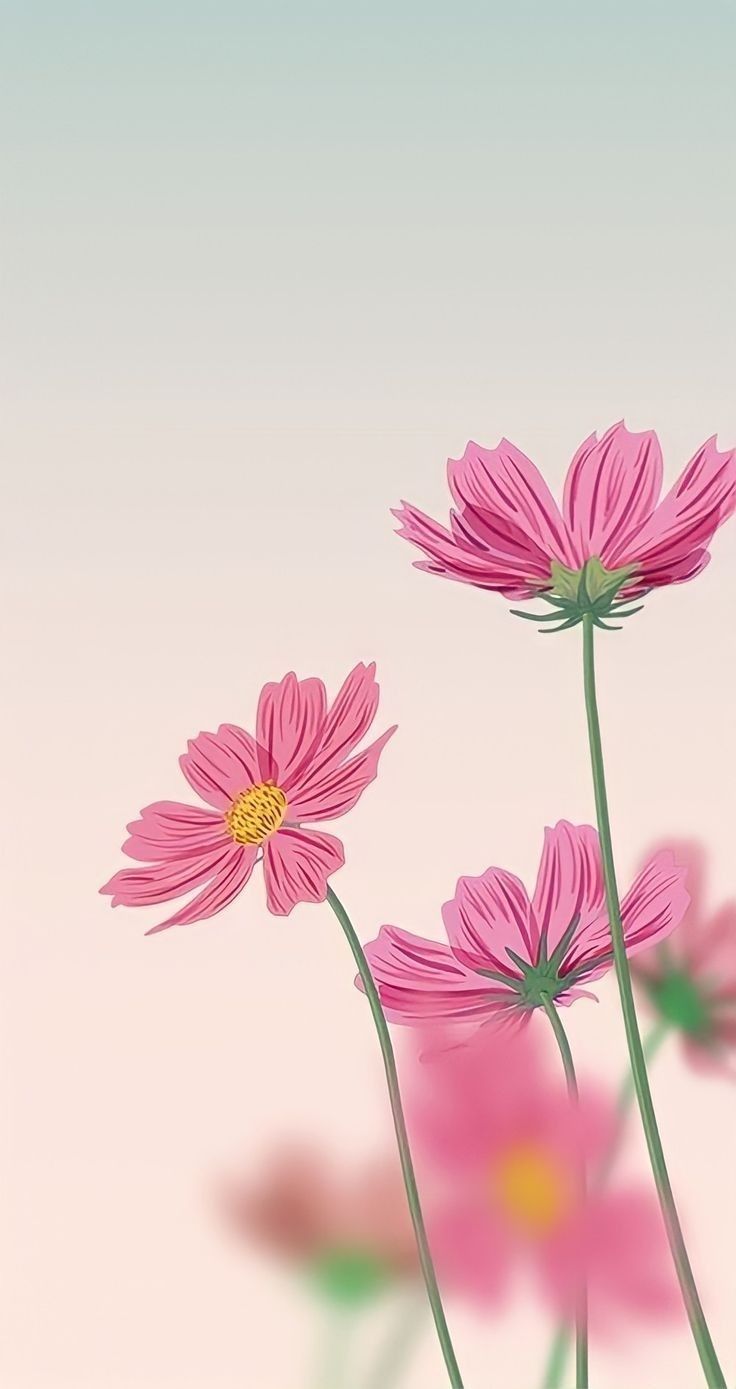 736x1389 Soft colour flowers wallpaper