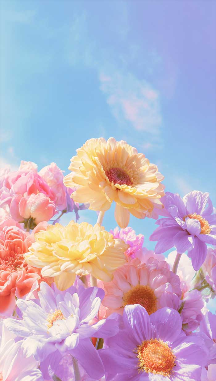 700x1235 Ideas of Aesthetic Floral Wallpaper for iPhone