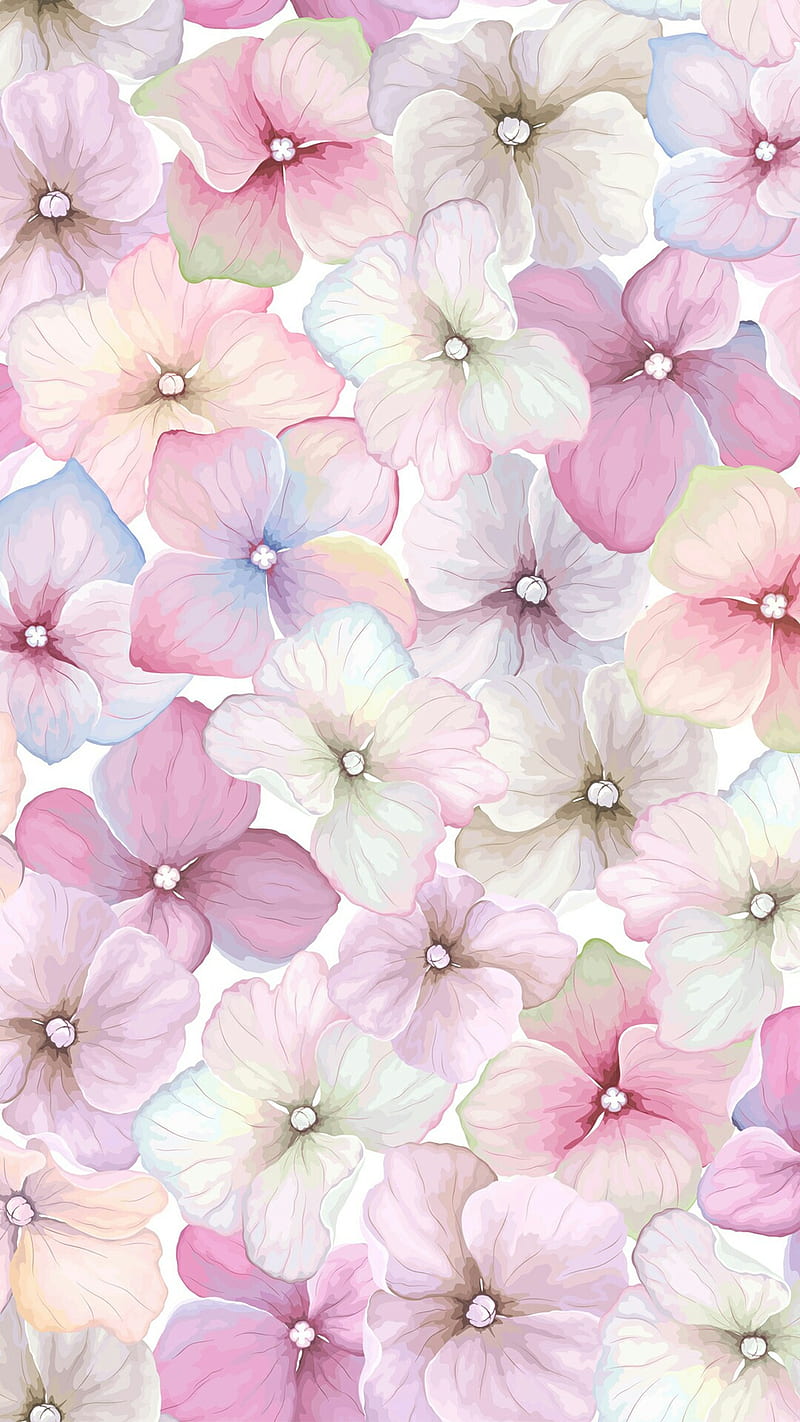 800x1422 Delicate Flowers, soft, HD phone wallpaper