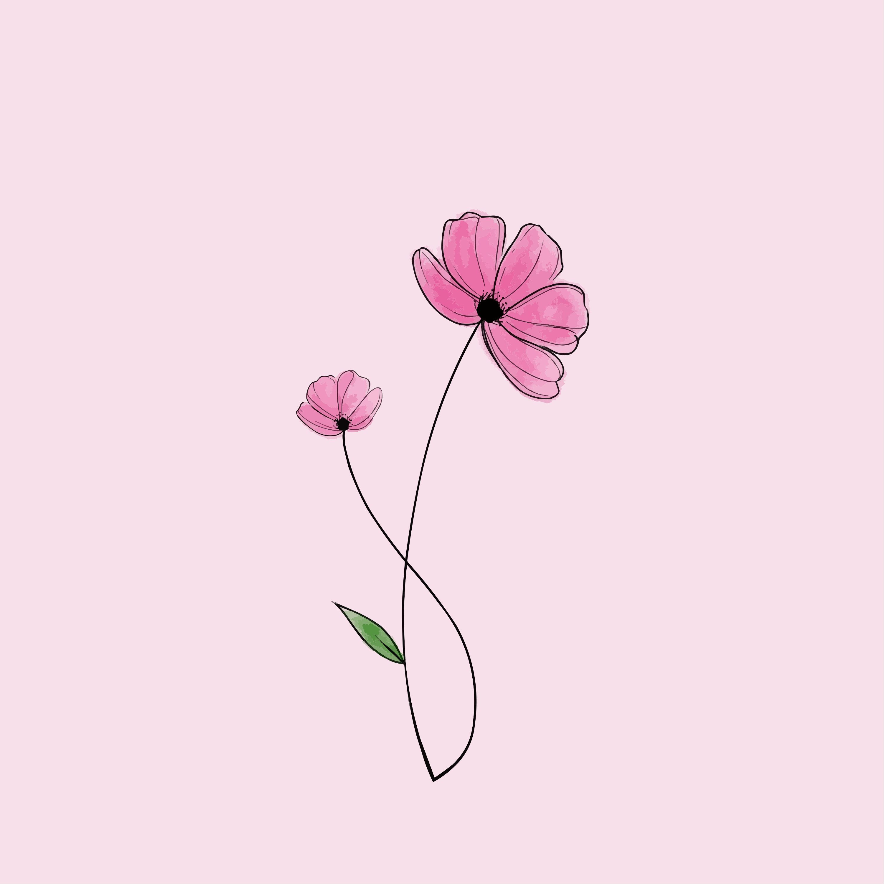 3000x3000 Two delicate pink flowers on a soft pink background Vector Illustration