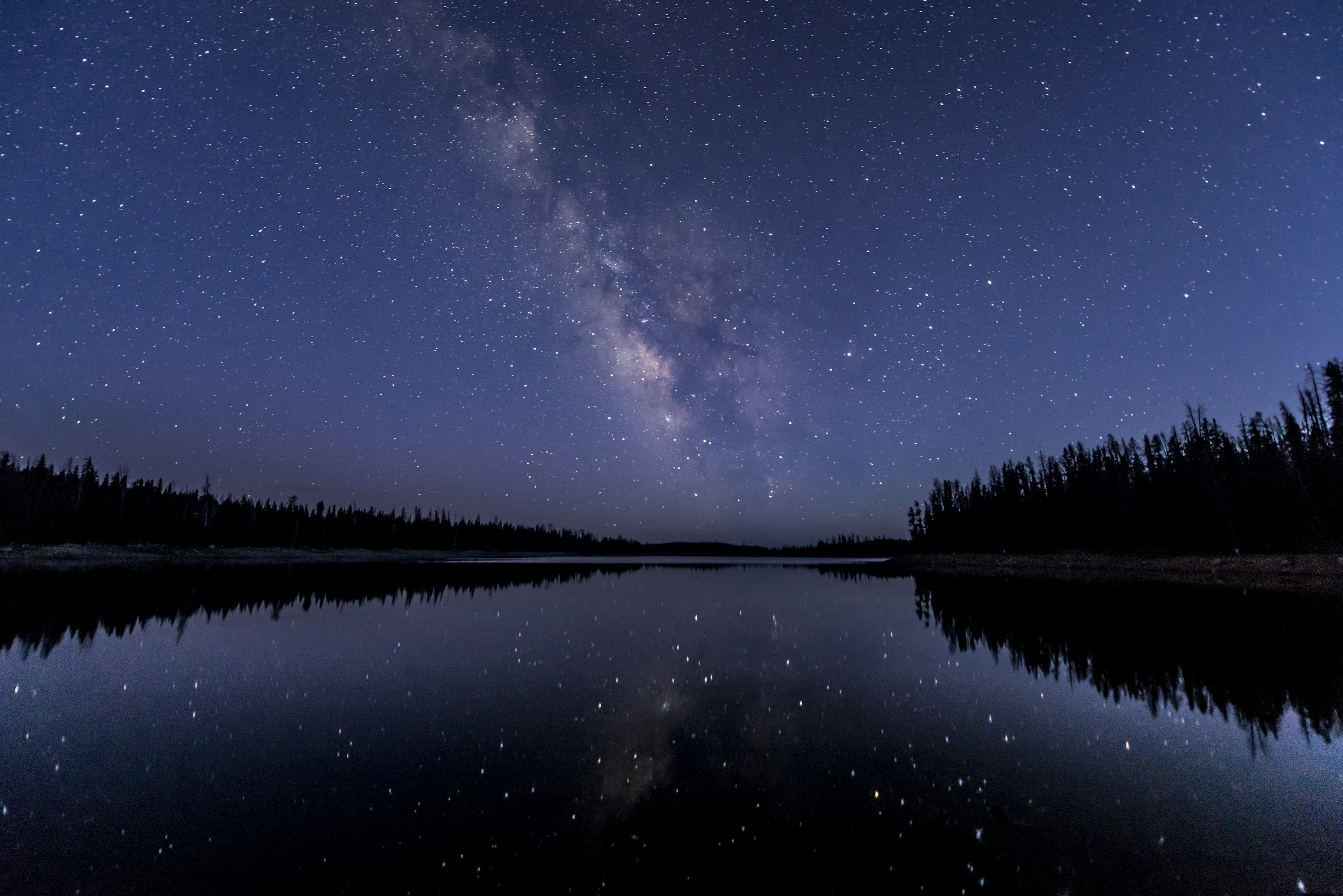 3000x2003 Silhouette of trees near body of water under sky with stars