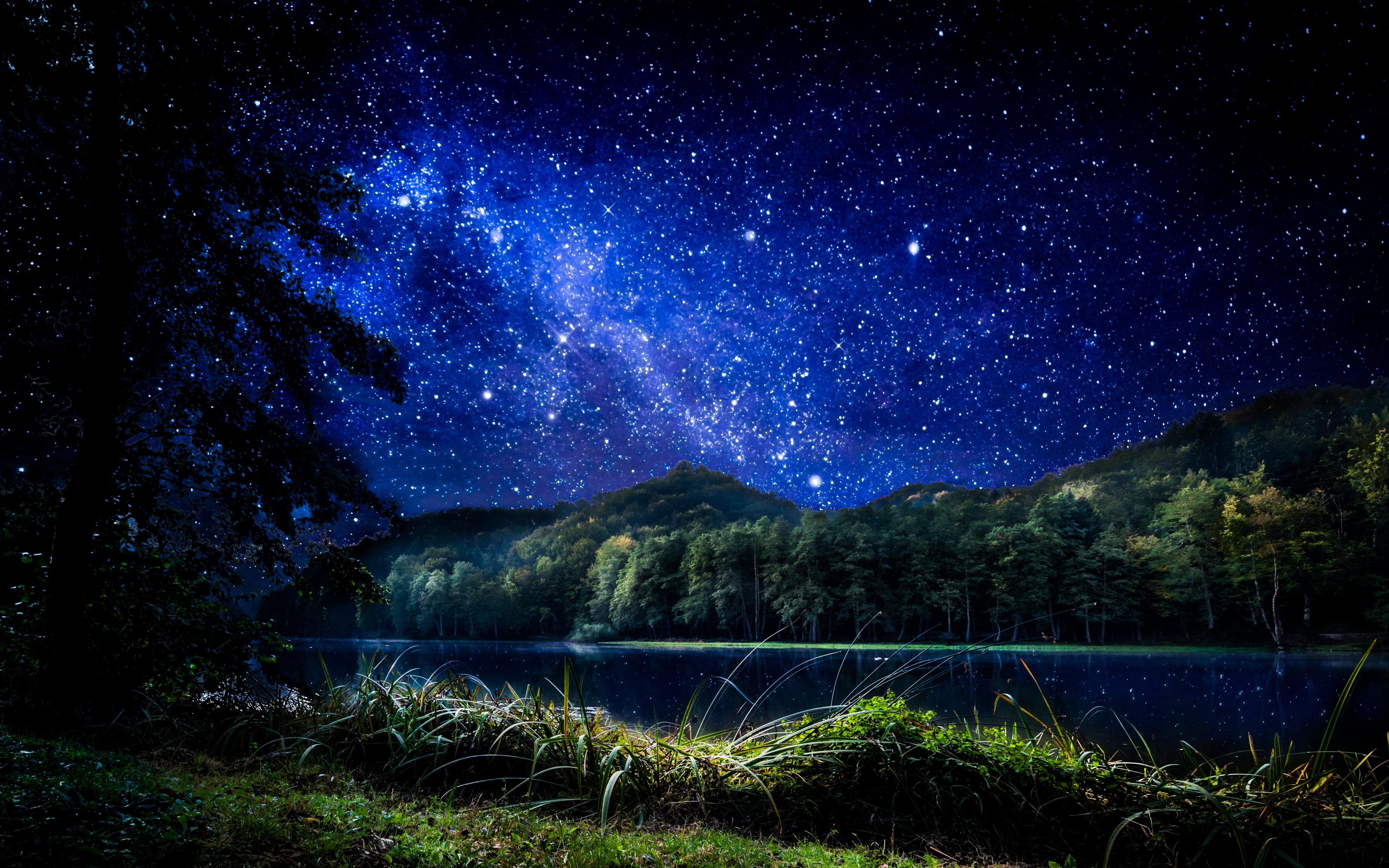 4350x2720 Trees near body of water under starry skies, landscape, stars, forest, river HD wallpaper