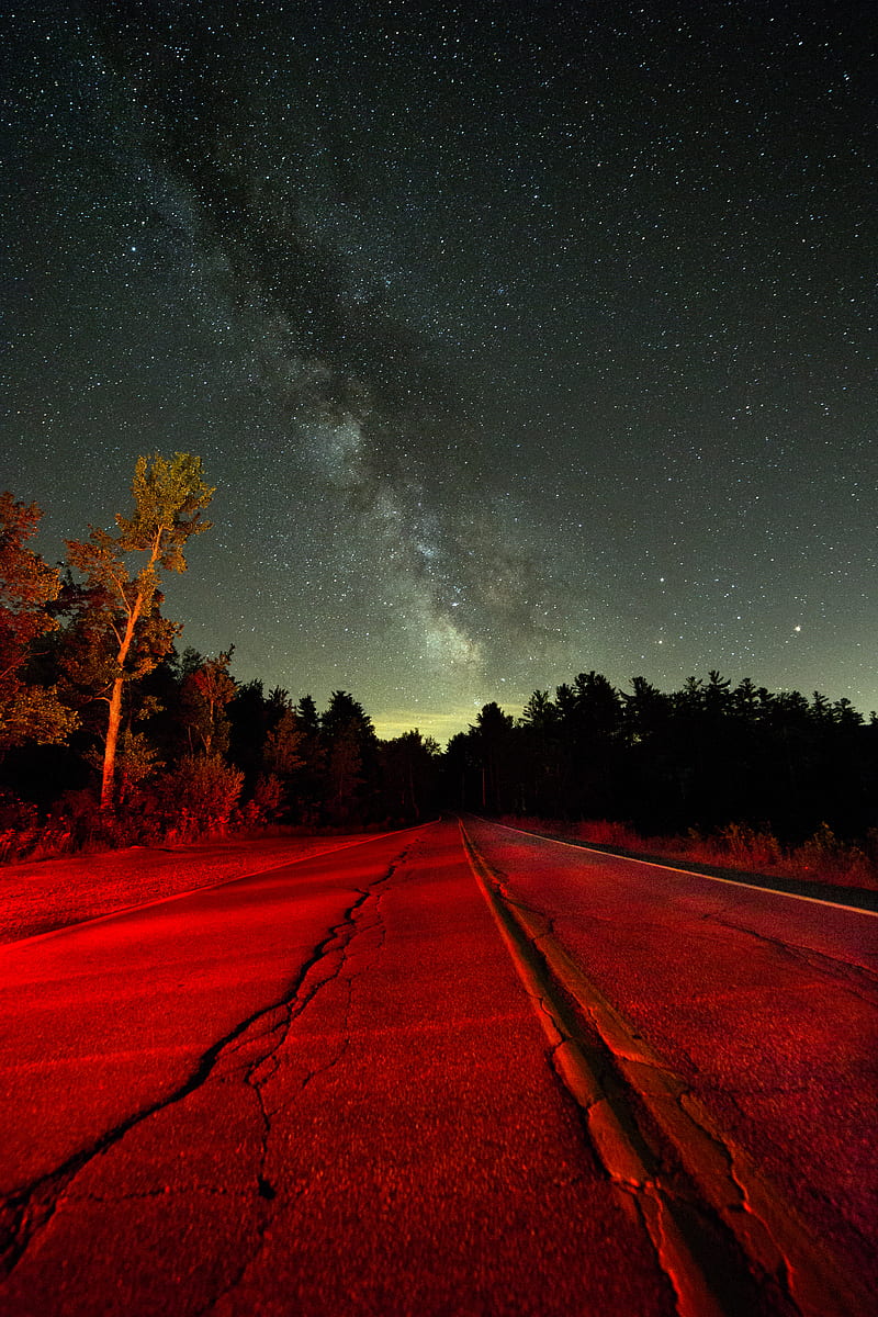 800x1200 Grey concrete straight road near tall trees under white stars at nighttime, HD phone wallpaper