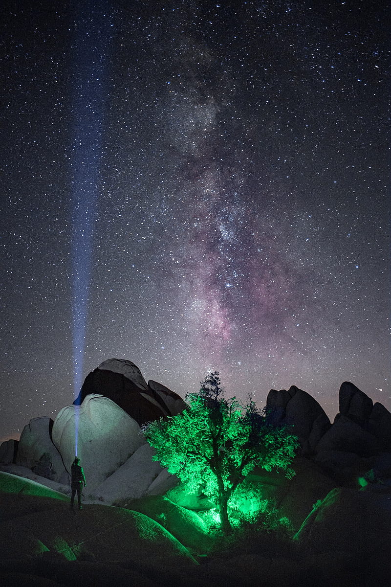 800x1200 Person with flashlight near lighted green tree on mountain under starry night, HD phone wallpaper