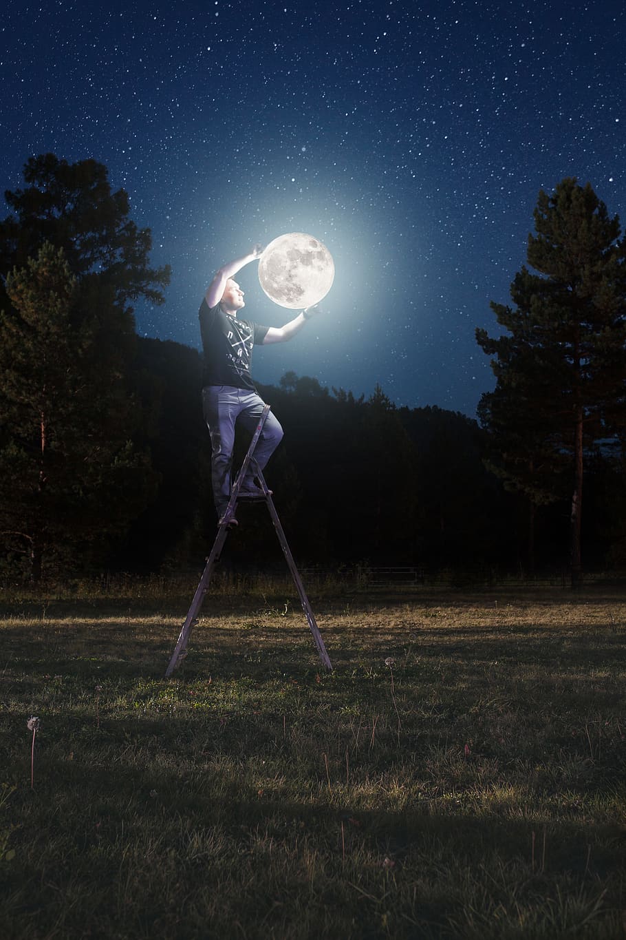 910x1365 HD wallpaper: man standing on ladder near trees during daytime, astronomy, night