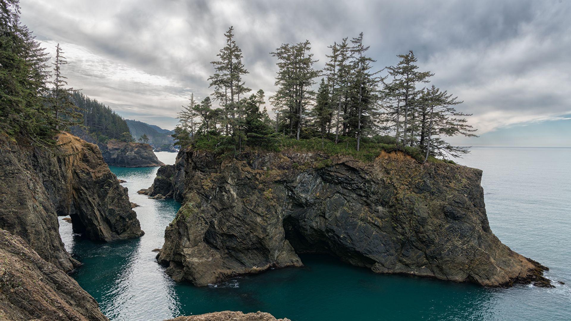 1920x1080 Image USA Oregon coast sea Crag Nature Coast Trees 1920x1080