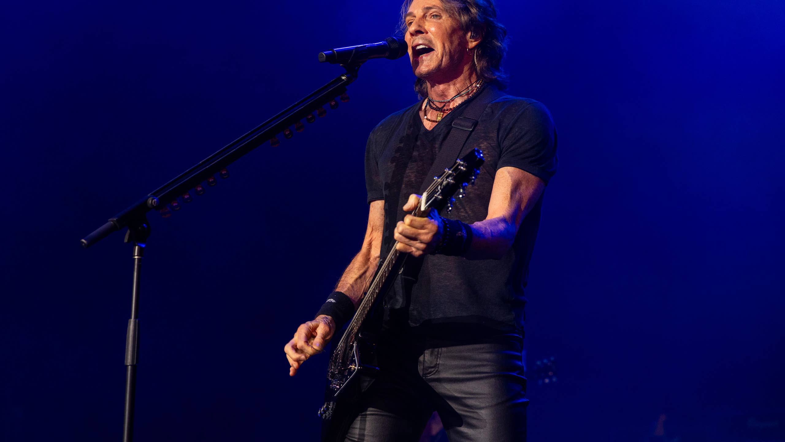 2560x1440 Watch Tommy Lee and Joe Rogan Lose It Over Shirtless Rick Springfield