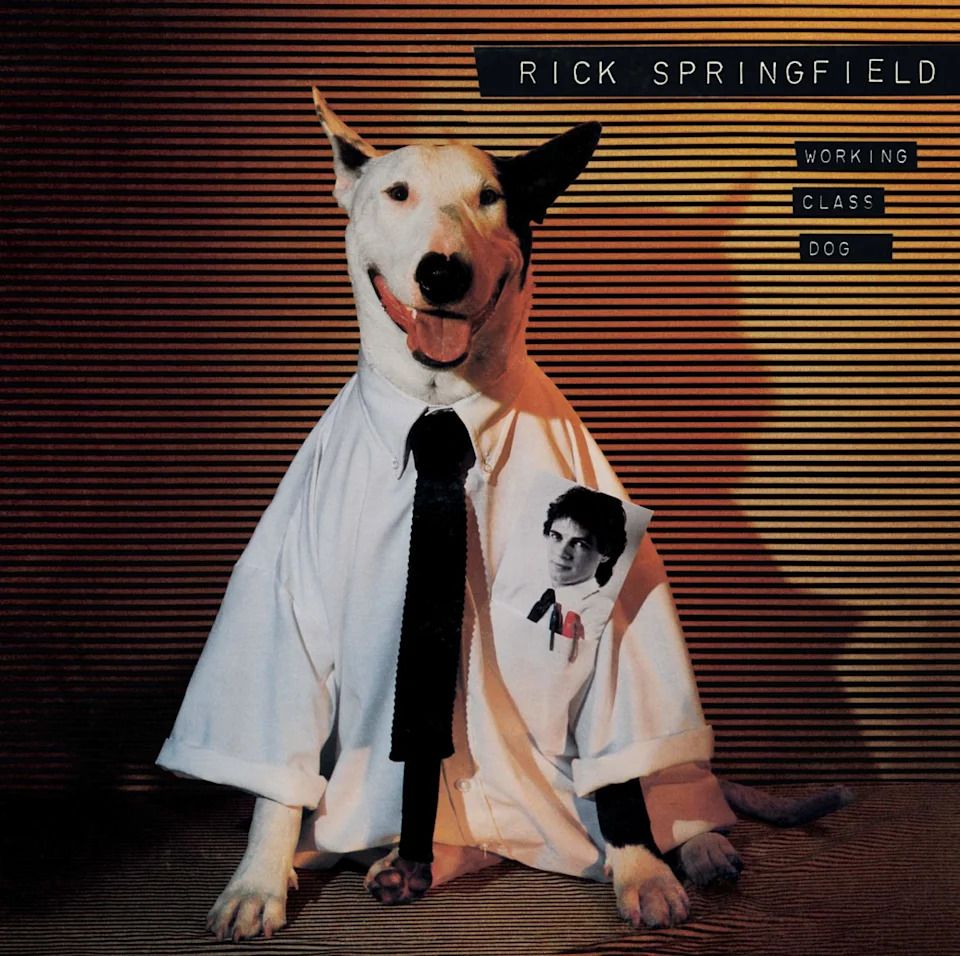 960x956 Rick Springfield reminisces about his famous working class dog: 'It was love at first sight'