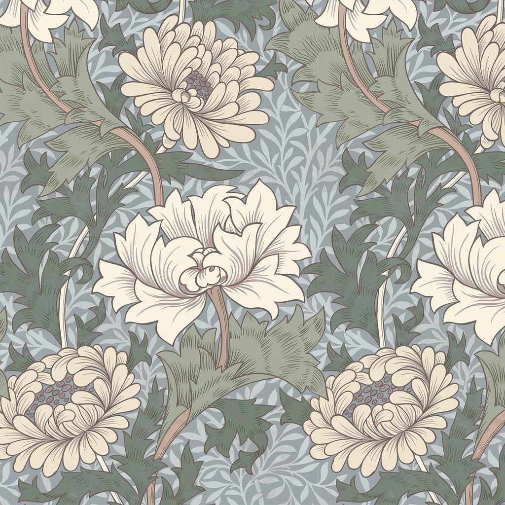 1024x1024 CHRYSANTHEMUM MAGNA Wallpaper