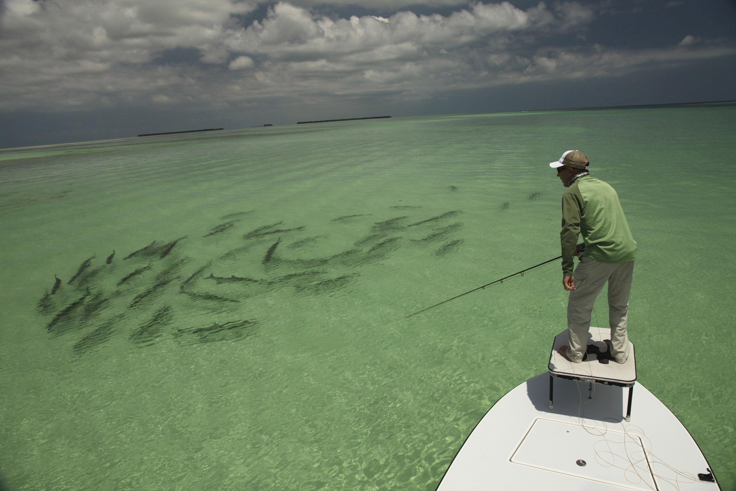 2560x1707 Offshore Fishing Wallpaper