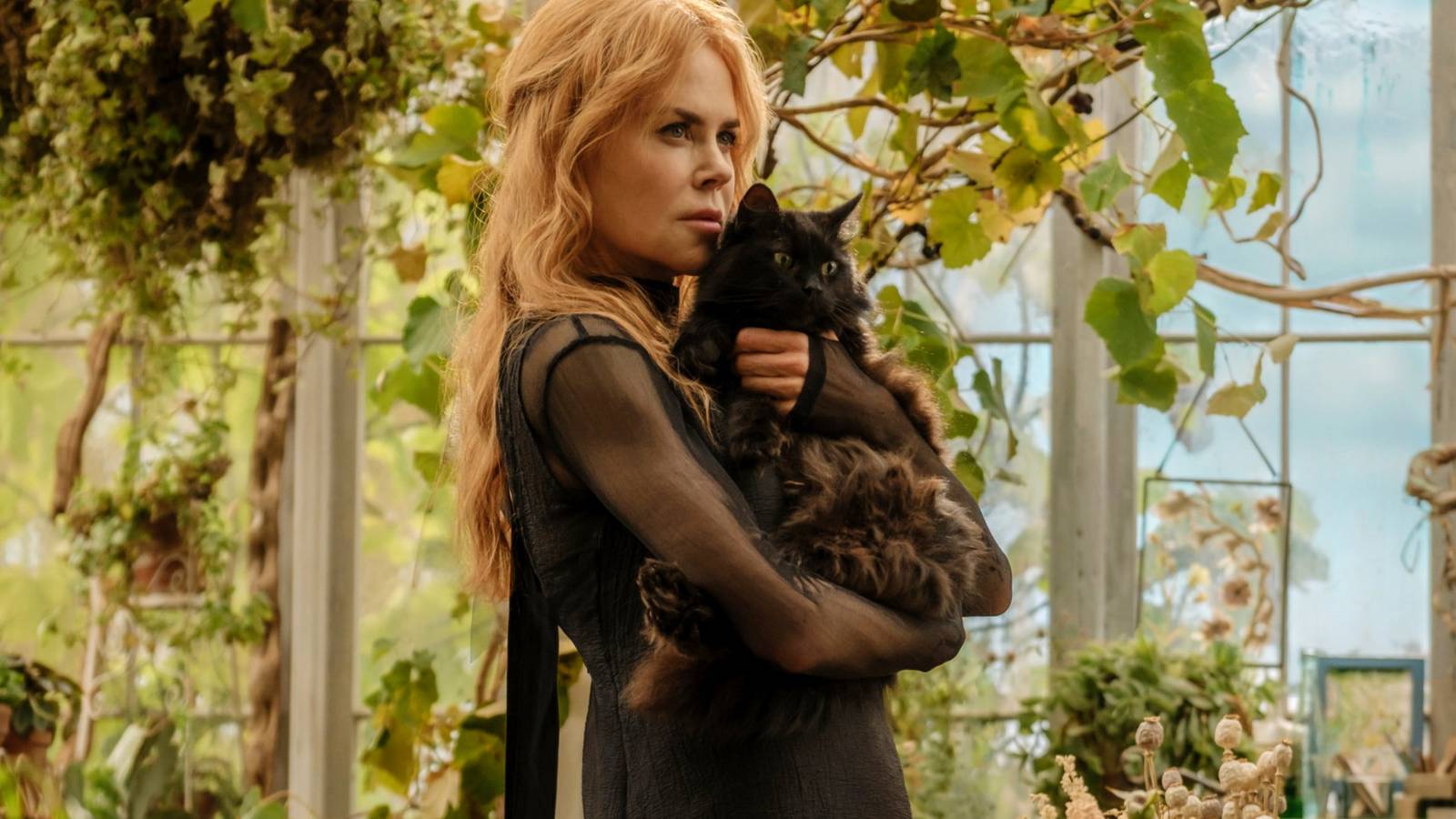 1600x900 Practical Magic 2 Box Office Debut Doubles OG Movie, Could Be Enough To Break Franchise Curse