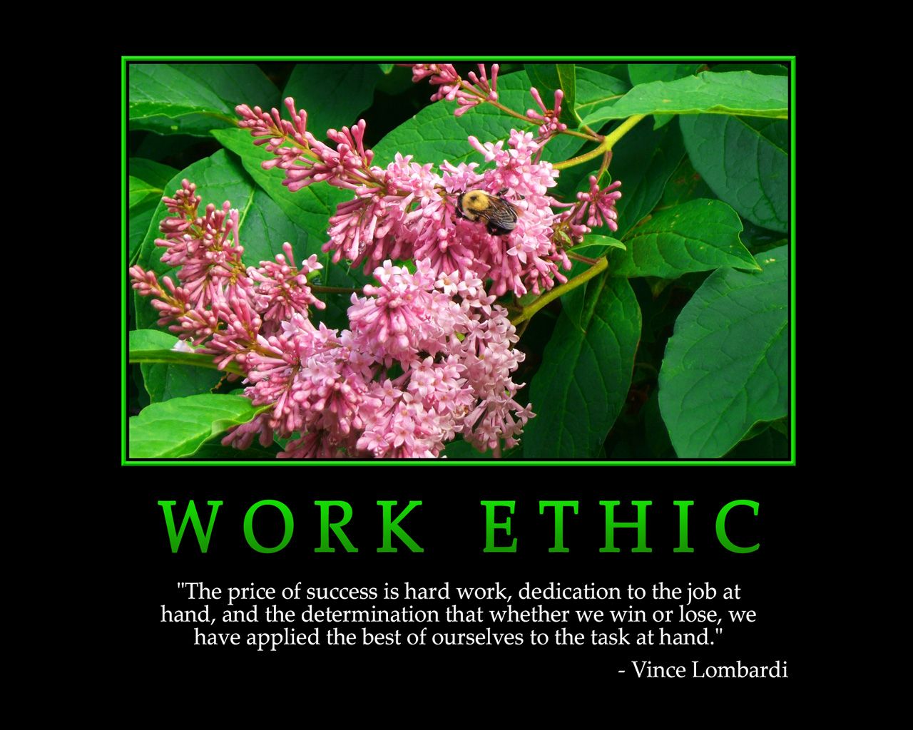 1280x1024 Motivating, Inspirational, Motivational, Stories, Quotes, Thoughts, Funny, Sacred Quotes, Wallpaper: WORK ETHIC