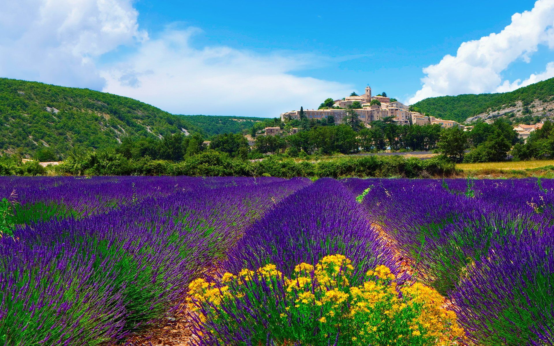 1920x1200 Lavender Fields of Banon: Vibrant Purple Provence Landscape, France HD Wallpaperx1200