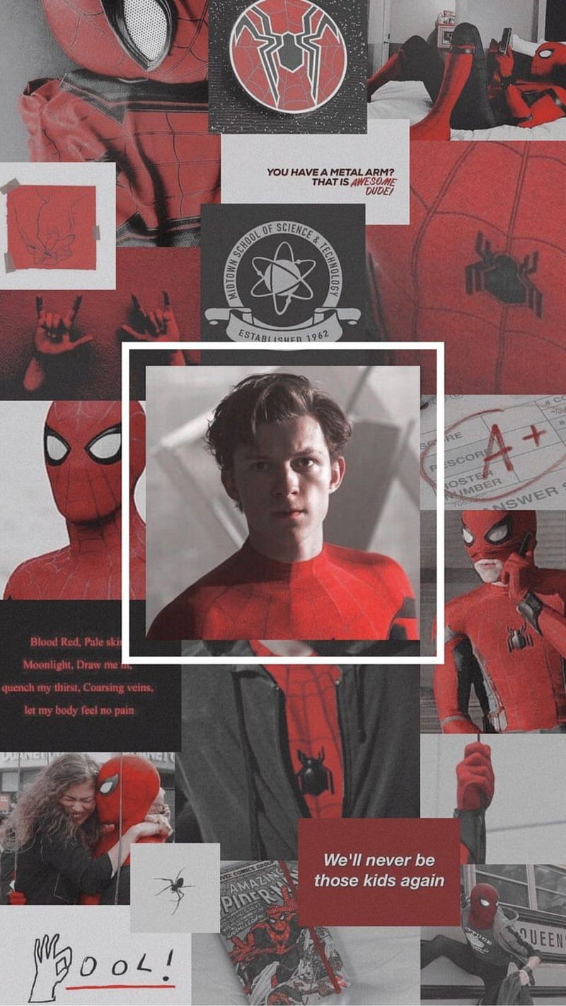 800x1422 Spiderman, avengers, marvel, marvel avengers, onlymarvel, son, sony, tom holland, HD phone wallpaper