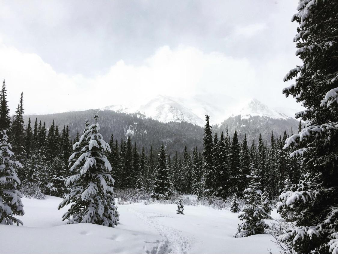 1125x844 I'm hiking in boots but should have brought the snowshoes in Arapaho National Forest, Idaho Springs, CO, USA