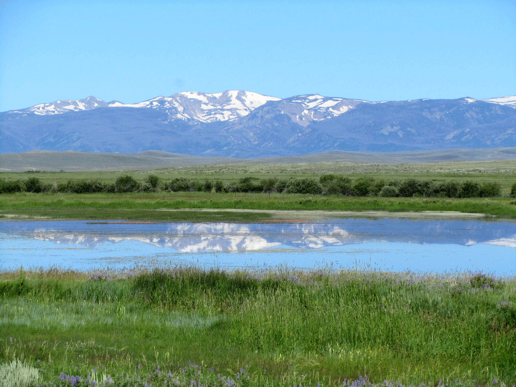 1024x768 Things to See at Arapaho National Wildlife Refuge