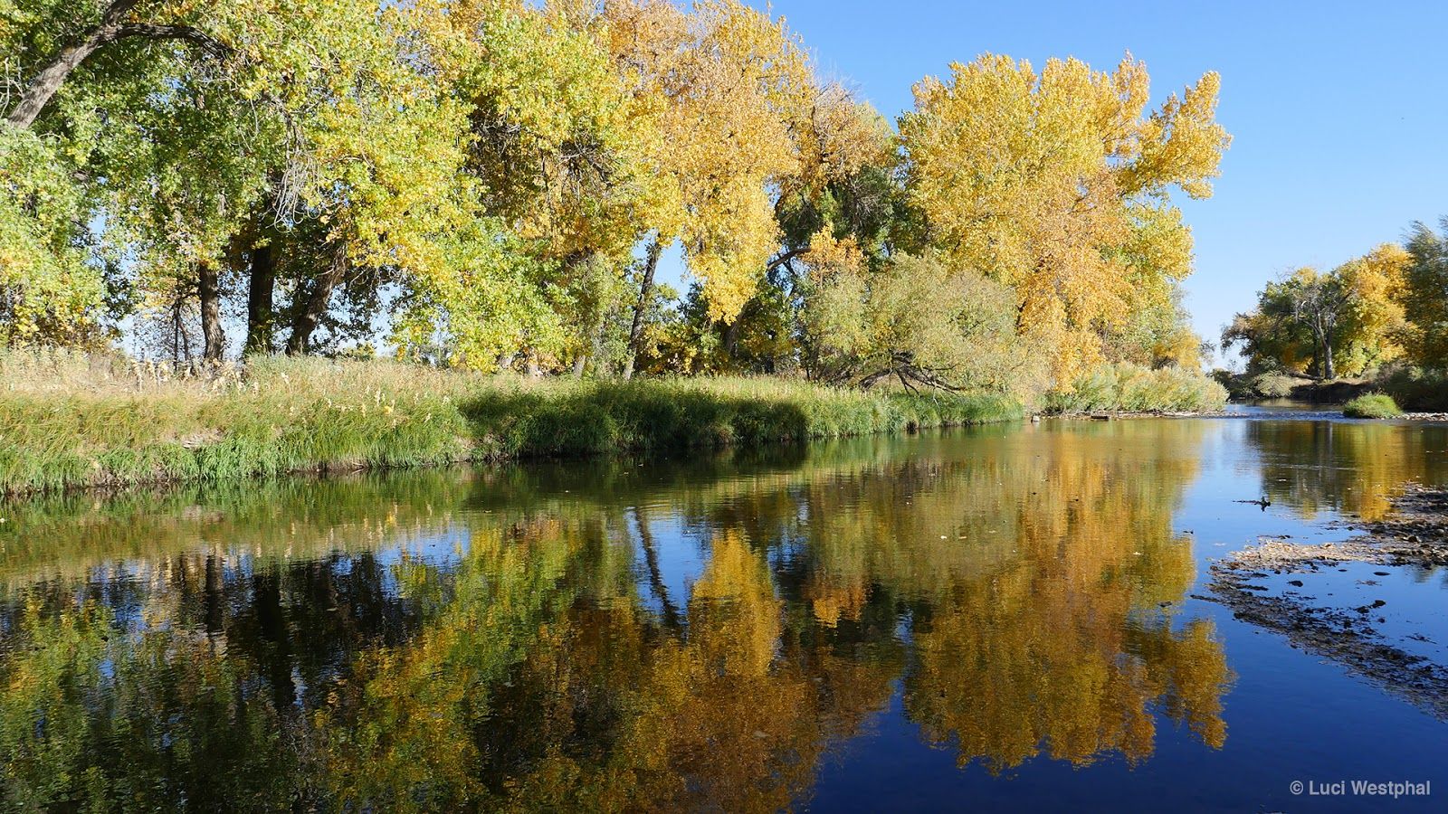 1600x900 Photos of Arapaho Bend Natural Area (Fort Collins, Colorado)