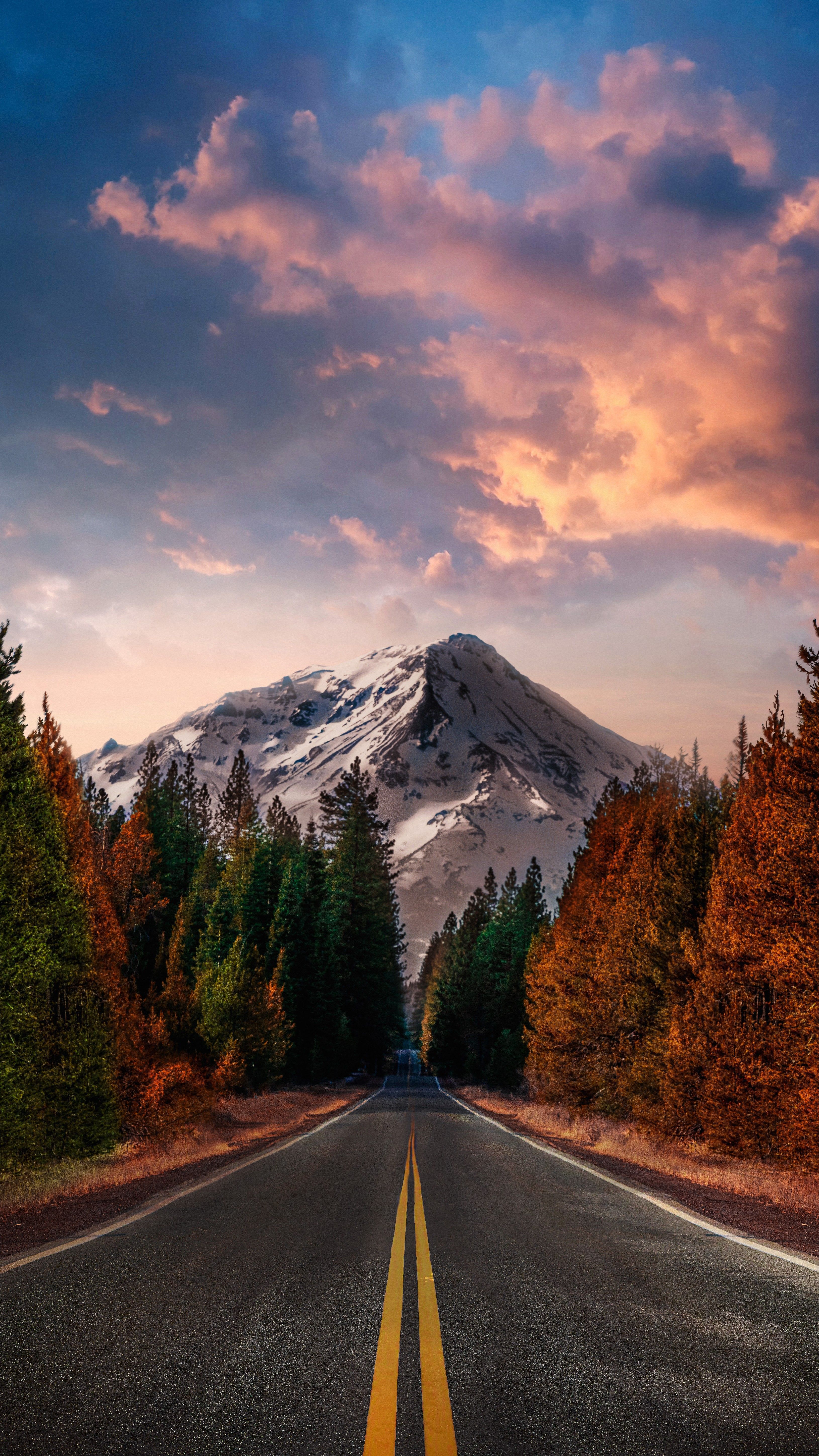 3260x5797 Wallpaper Anjunabeats, Anjunadeep, Soundcloud, Cloud, Plant, Background Free Image