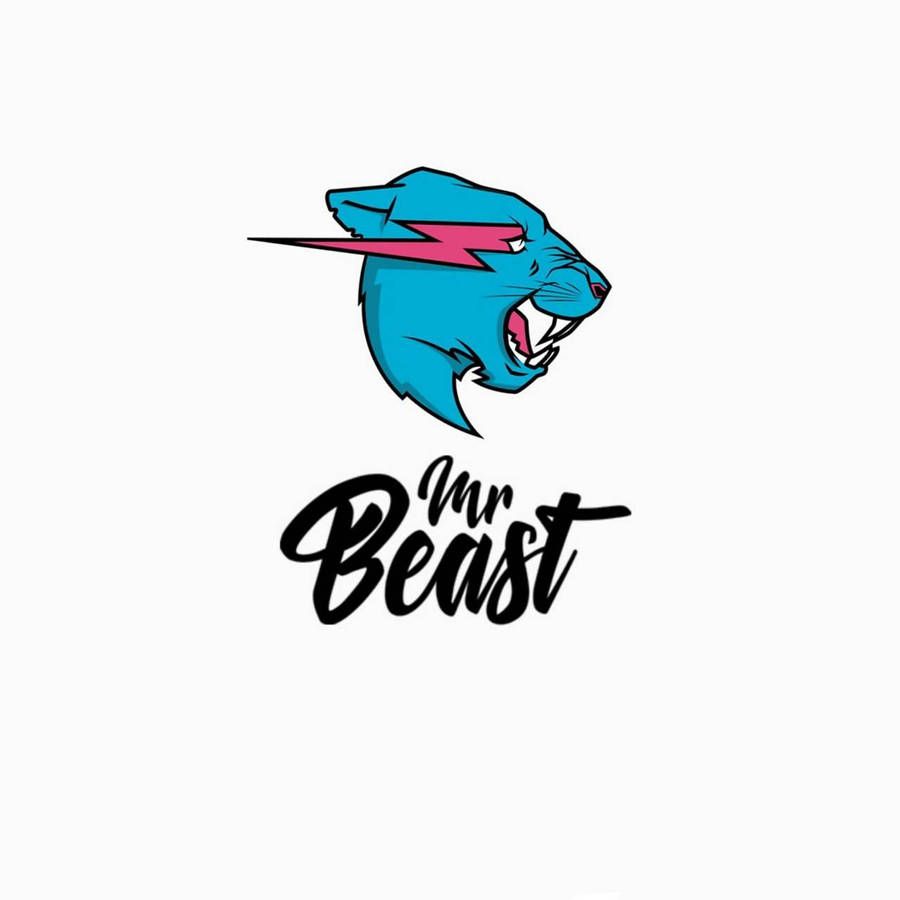 900x900 Mr Beast Wallpaper