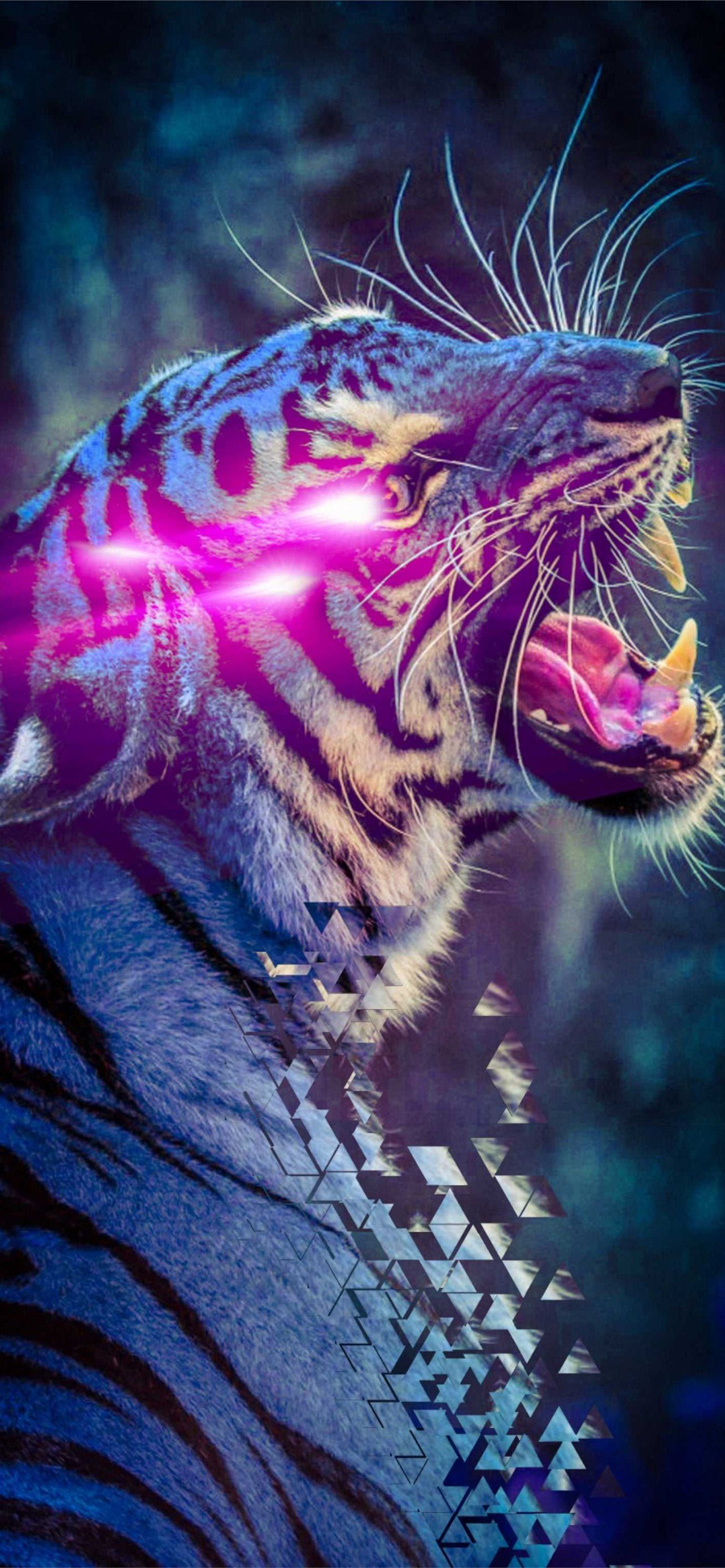 1284x2778 mrbeast iPhone Wallpaper Free Download