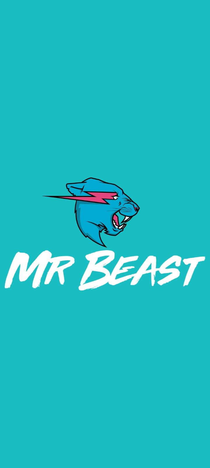 720x1600 Mrbeast Wallpaper