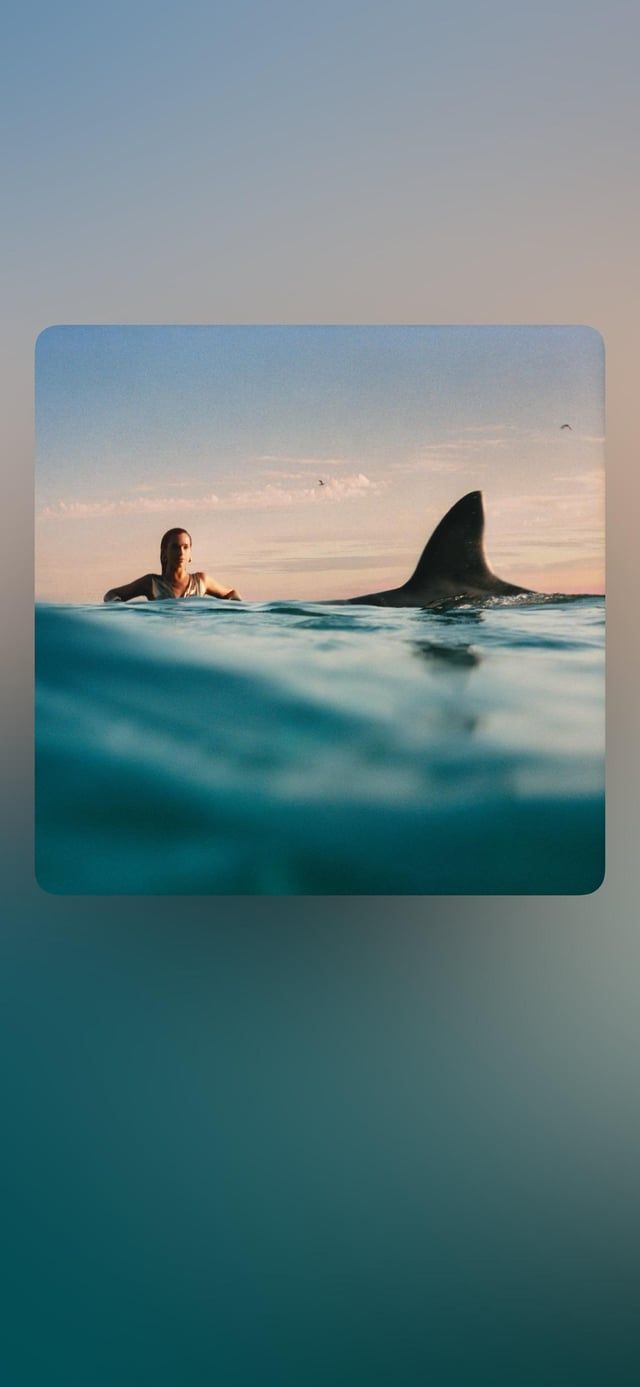 640x1387 Turn any song's album art into a custom wallpaper!