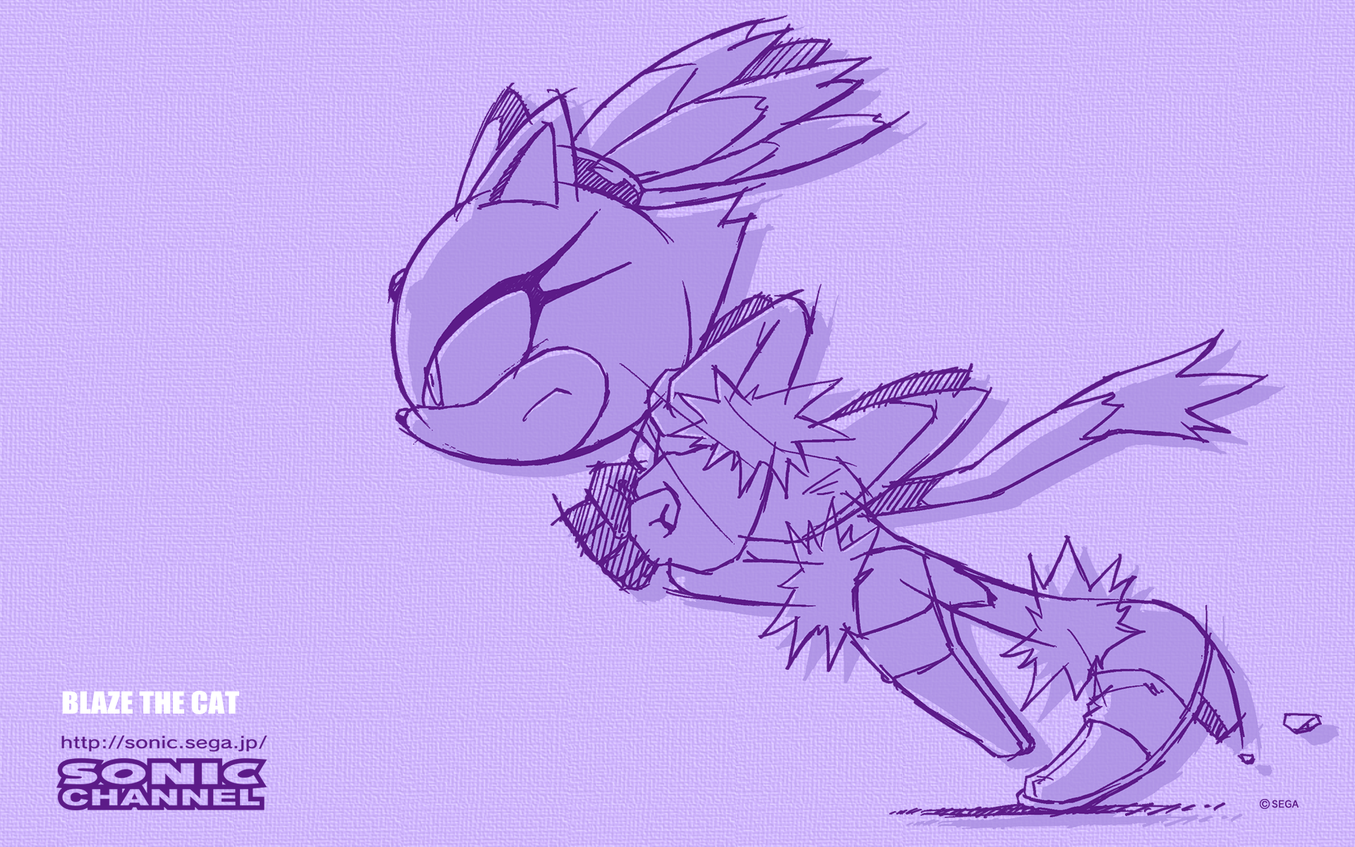 1920x1200 Blaze The Cat Wallpaper