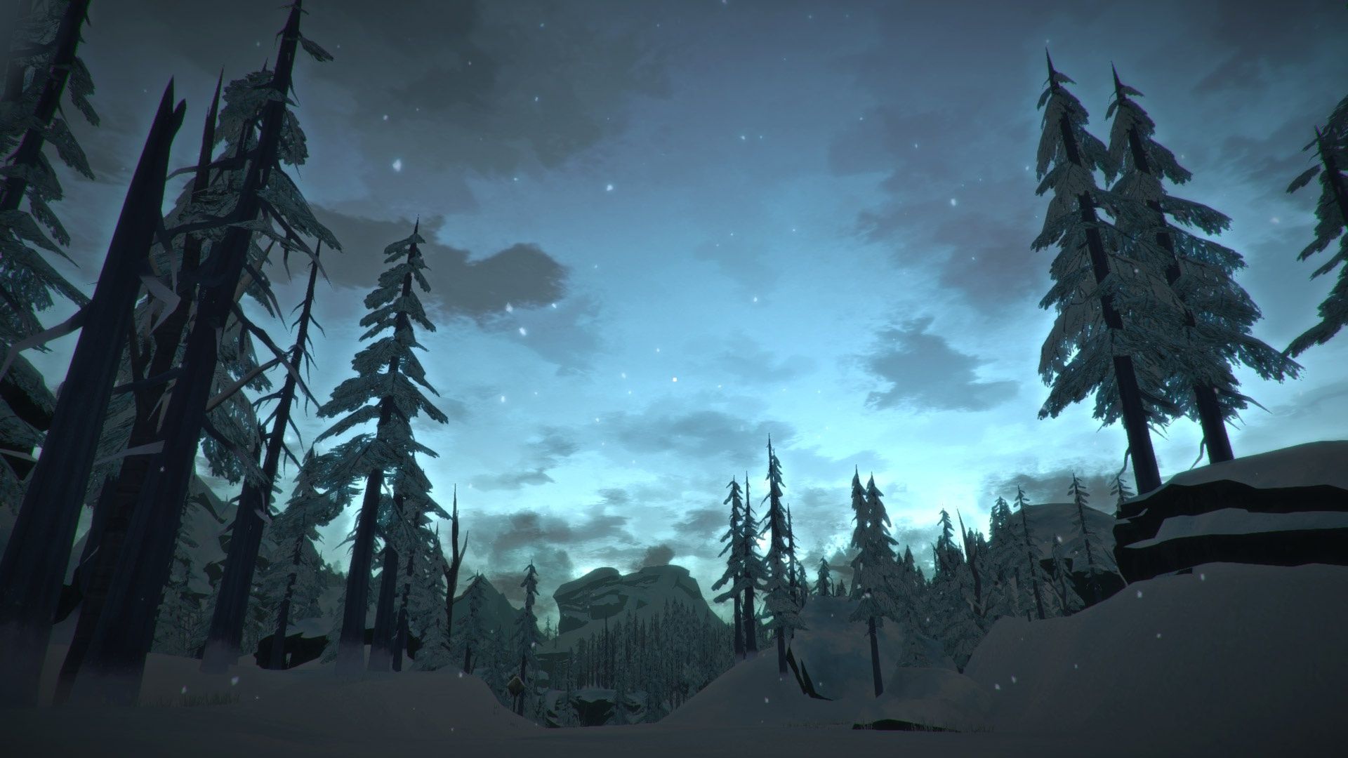 1920x1080 Wallpaper forest, the long dark, Hinterland Studio, nature, forest, Indie Game, nature, night for mobile and desktop, section игры, resolution 1920x1080