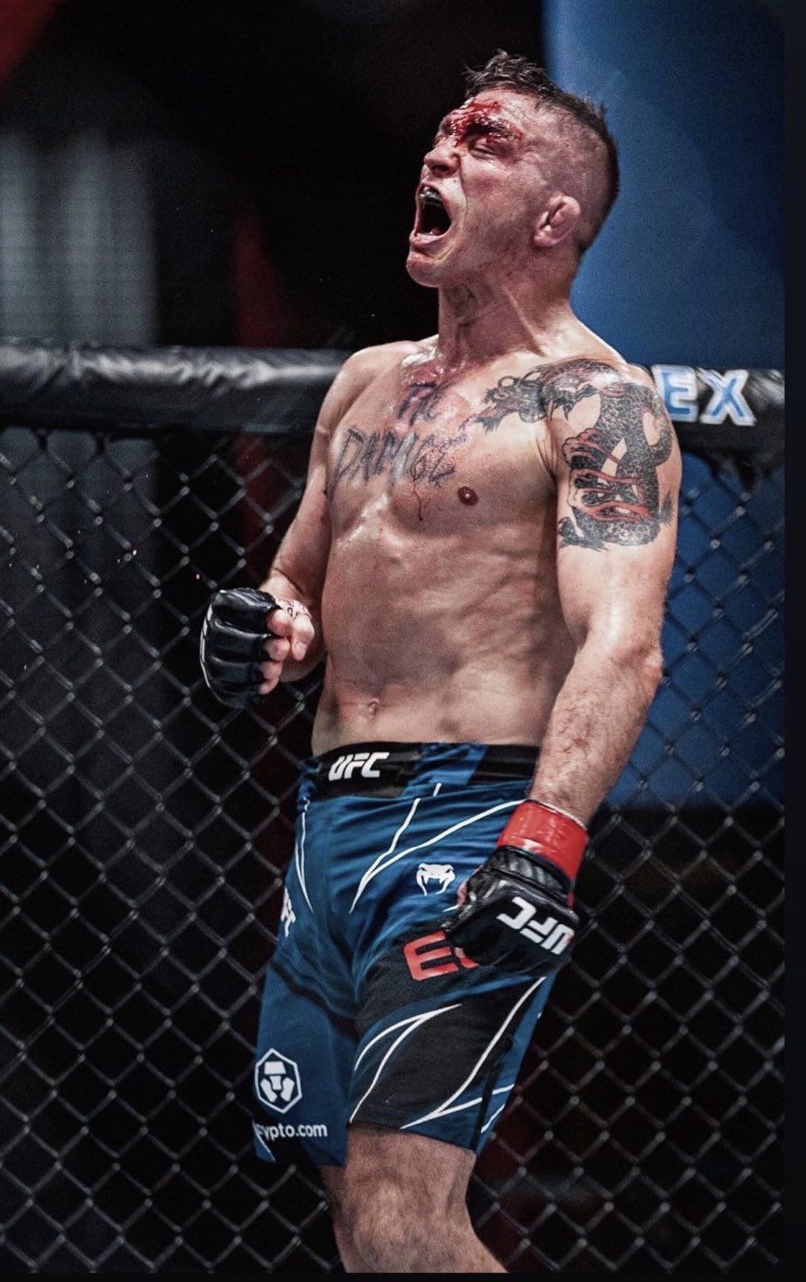 903x1436 Darren Elkins on X: The way of the Damage! Blood and Guts Fighter! / X