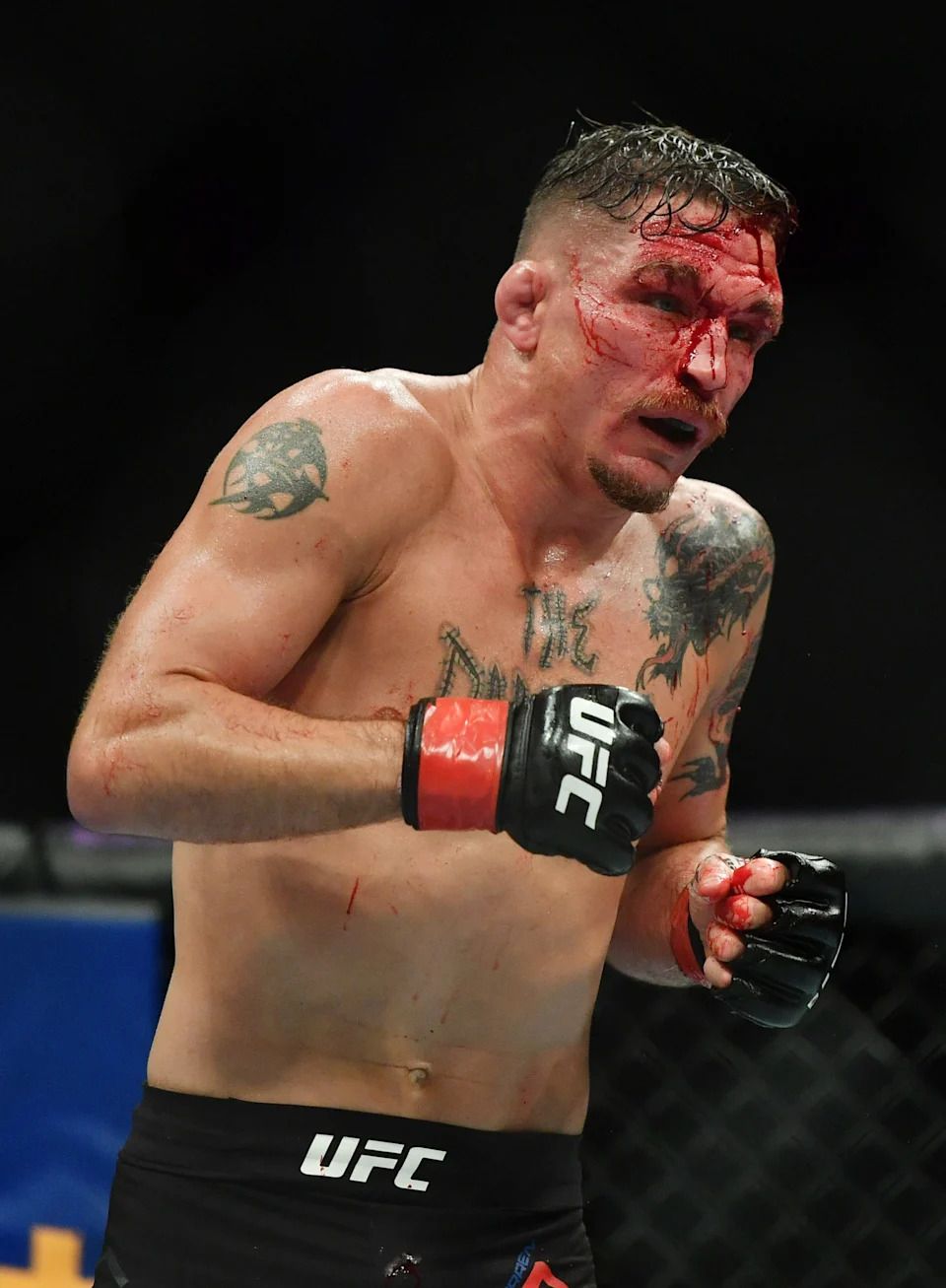 960x1307 There Will Be Blood: Darren Elkins' bloodiest, goriest UFC photo