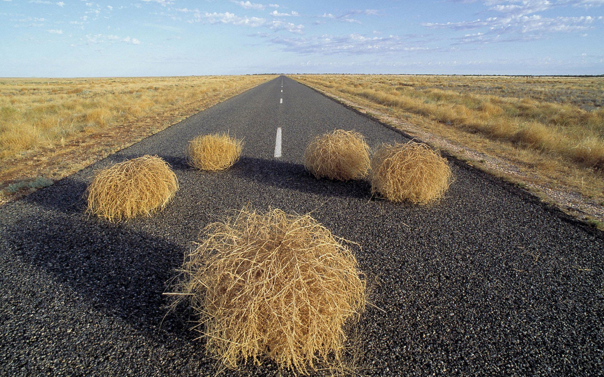 1920x1200 Route 66 Desert: Tumbleweeds Across the Endless Road