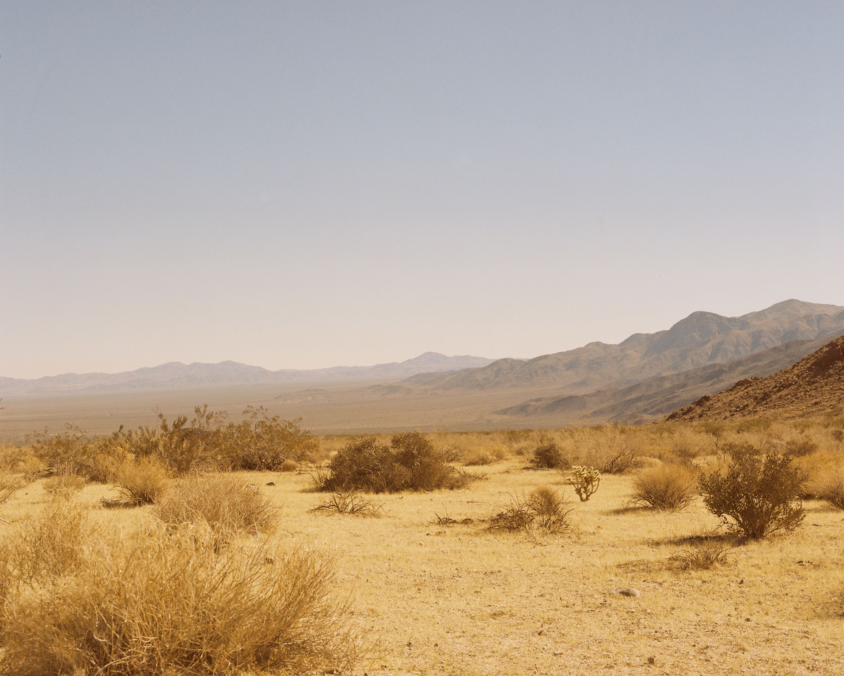 2926x2346 Tumbleweed Desert Pics Photo, Download The BEST Free Tumbleweed Desert Pics & HD Image