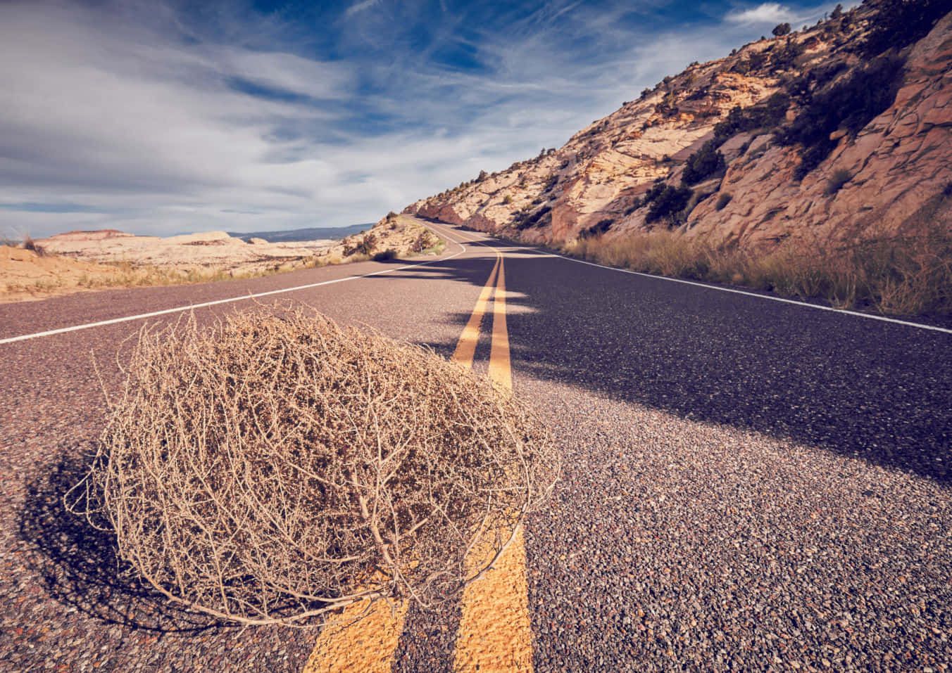 1352x957 Download Captivating Tumbleweed in a Barren Sameland Wallpaper