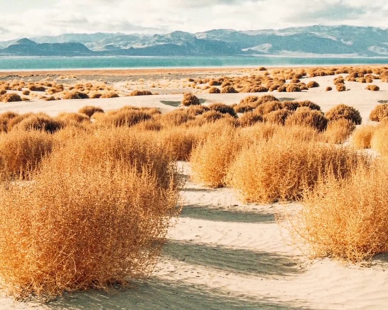 1280x1024 Southwest Tumbleweed Landscape Art Print, Western Decor, Southwest Wall Art, American West Photography, Western Poster