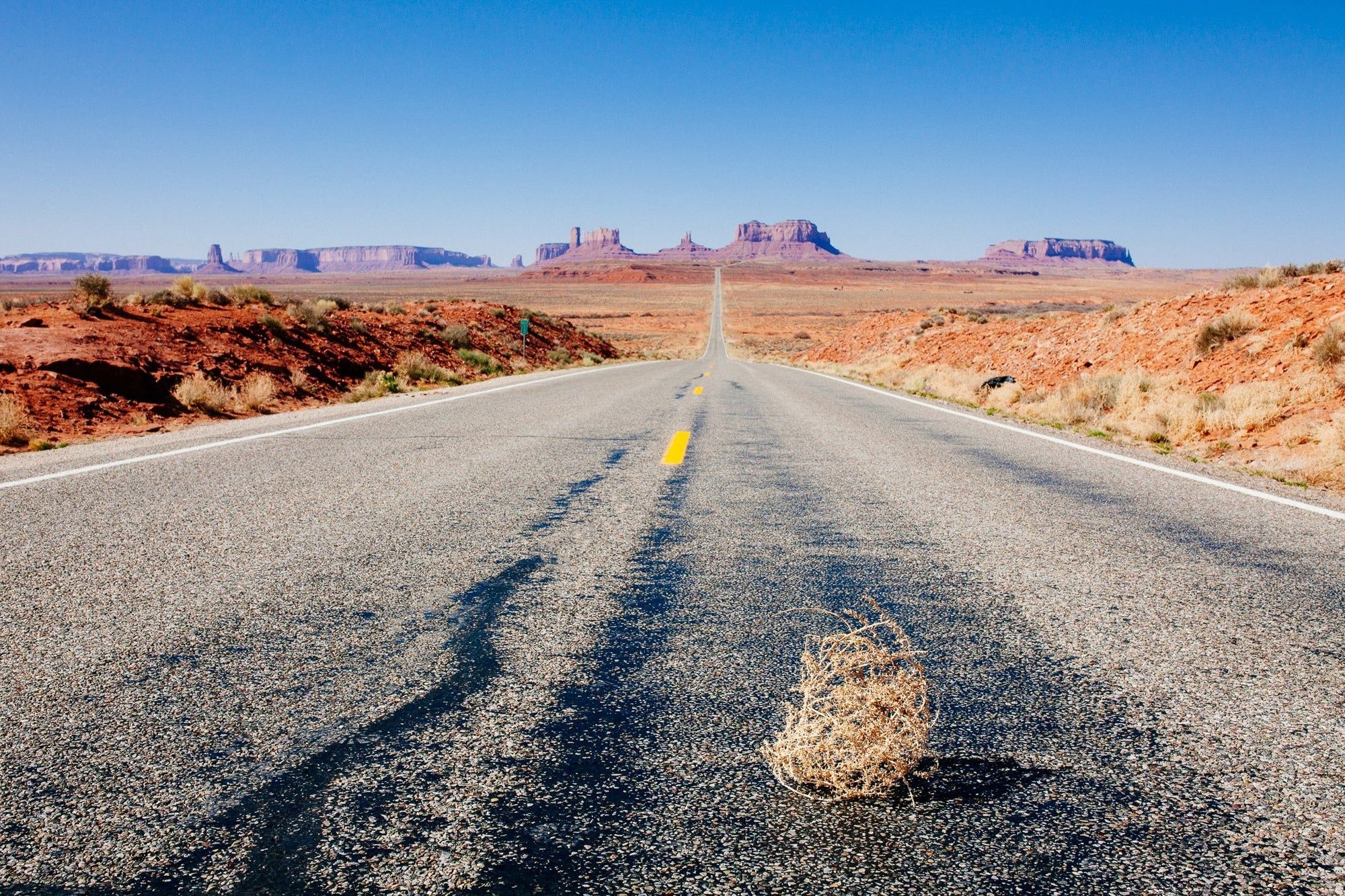 2000x1333 Tumbleweed